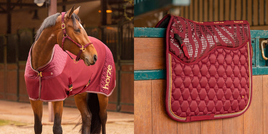 Akcesoria dla koni i Rzeczy dla koni