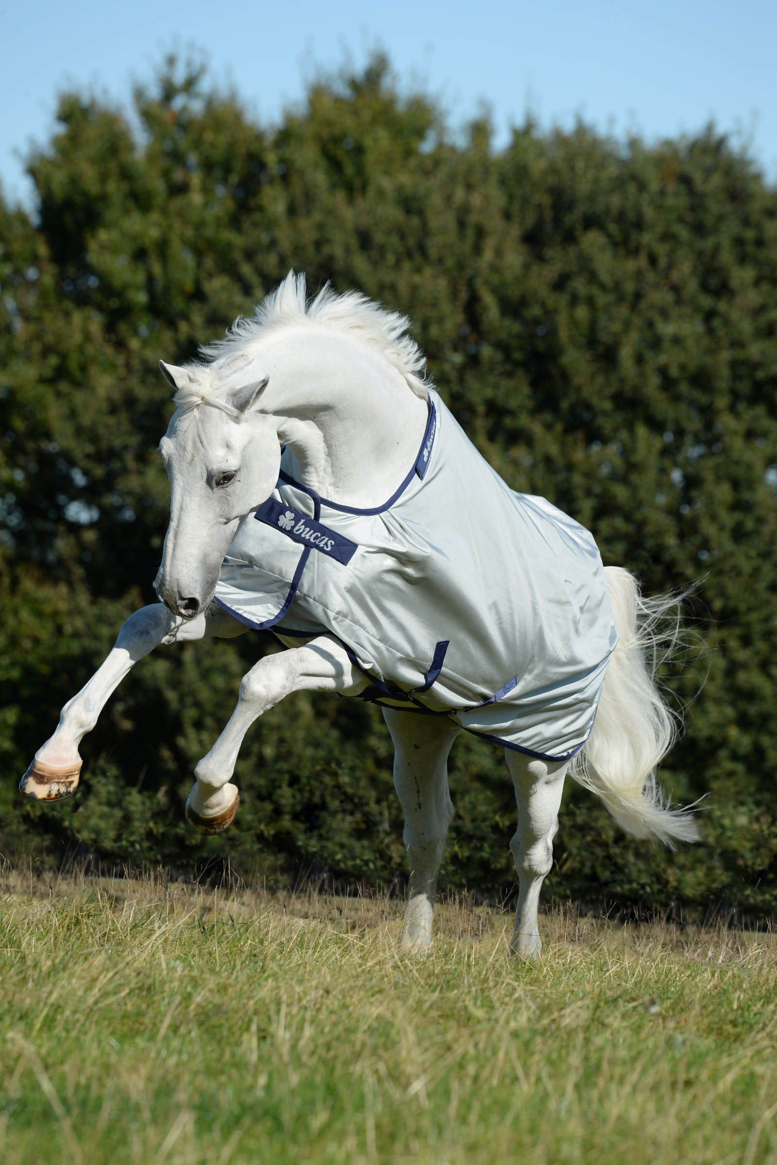 Bucas Power derka padokowa z szerokim dekoltem, 0g