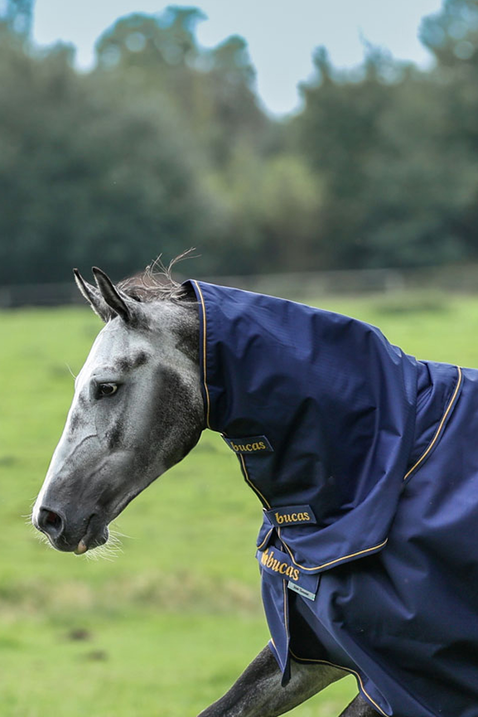 Bucas Irish Turnout szyjnik, 0g