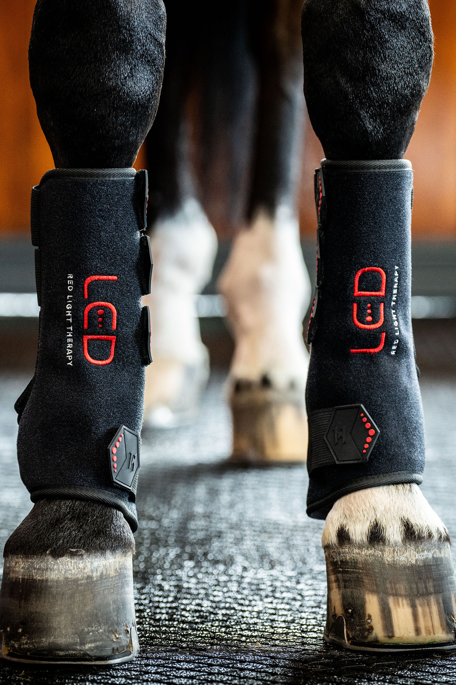 Horseware LED terapeutyczny ochraniacz z czerwonym światłem (1 szt.)