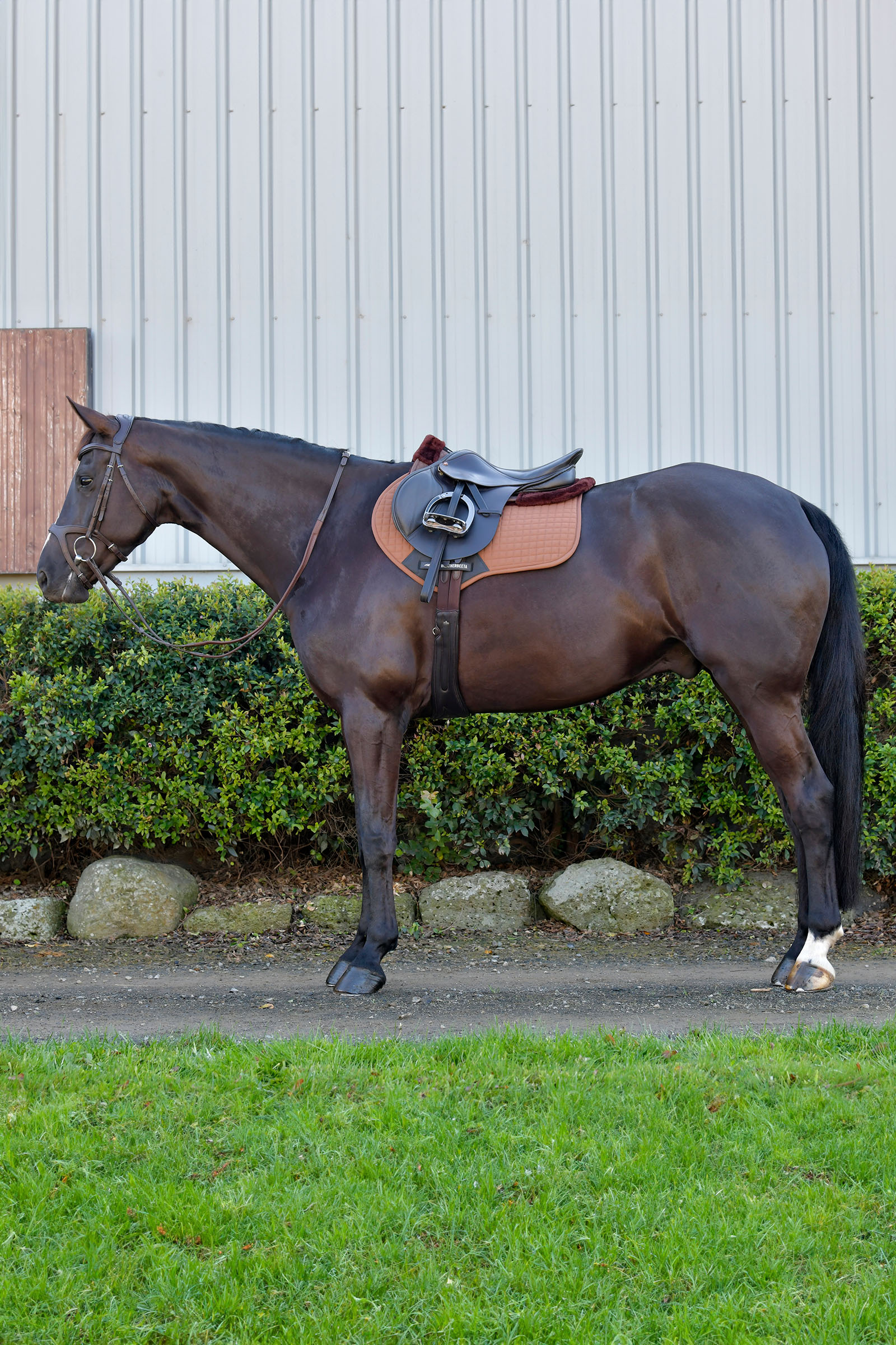 Weatherbeeta Prime Comfy Fleece czaprak skokowy