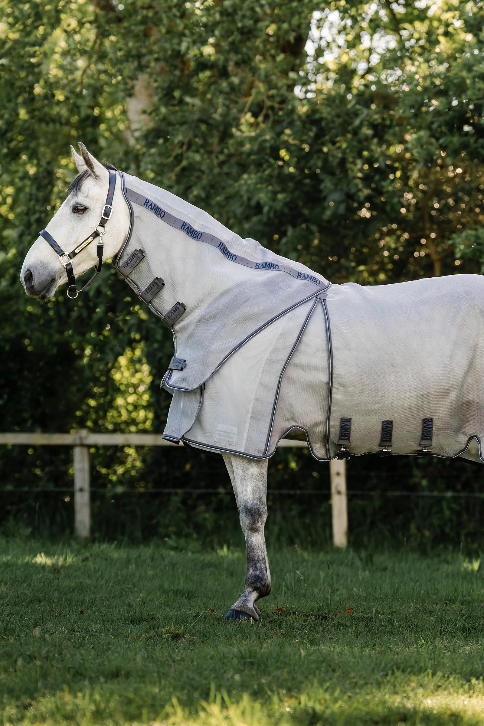 Horseware Rambo Optimo Protector Plus derka