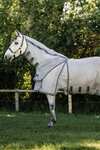 Horseware Rambo Optimo Protector Plus derka