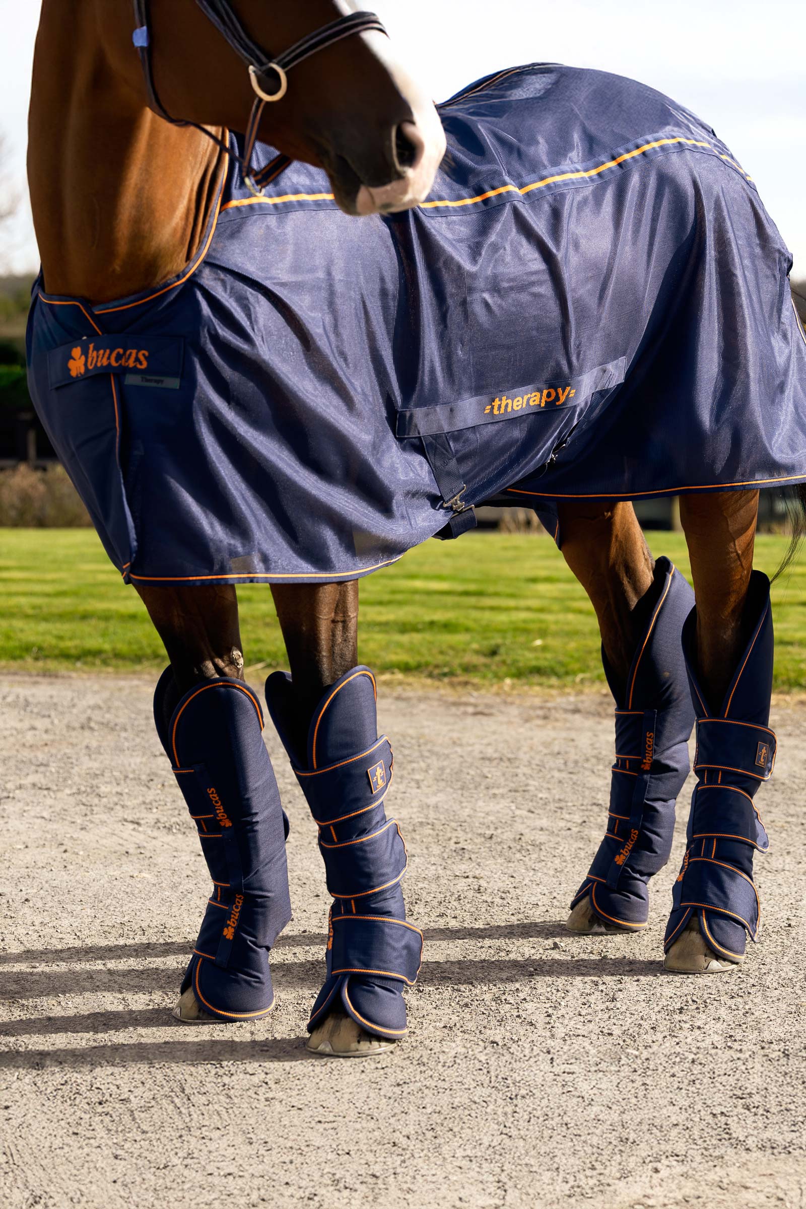 Bucas Therapy Travel Boots (Set of 4)