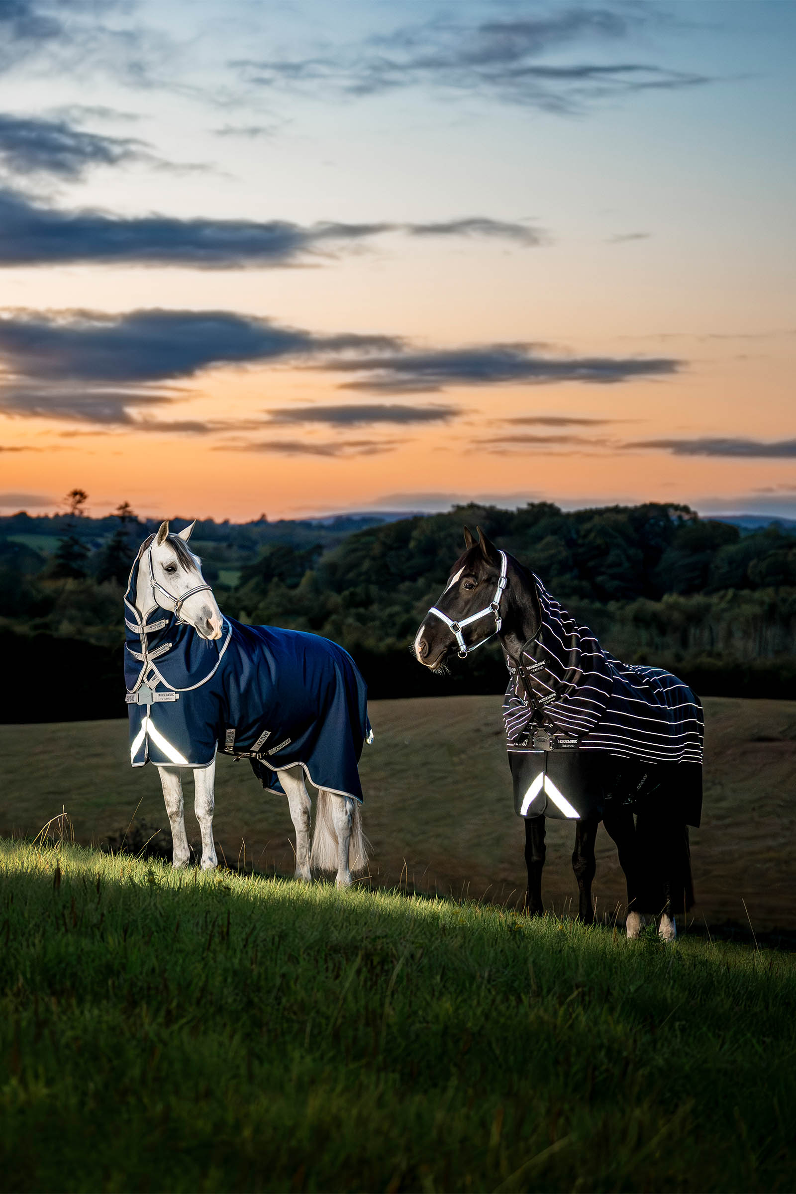 Horseware Amigo 1200D FieldSafe Plus derka padokowa, 0 g