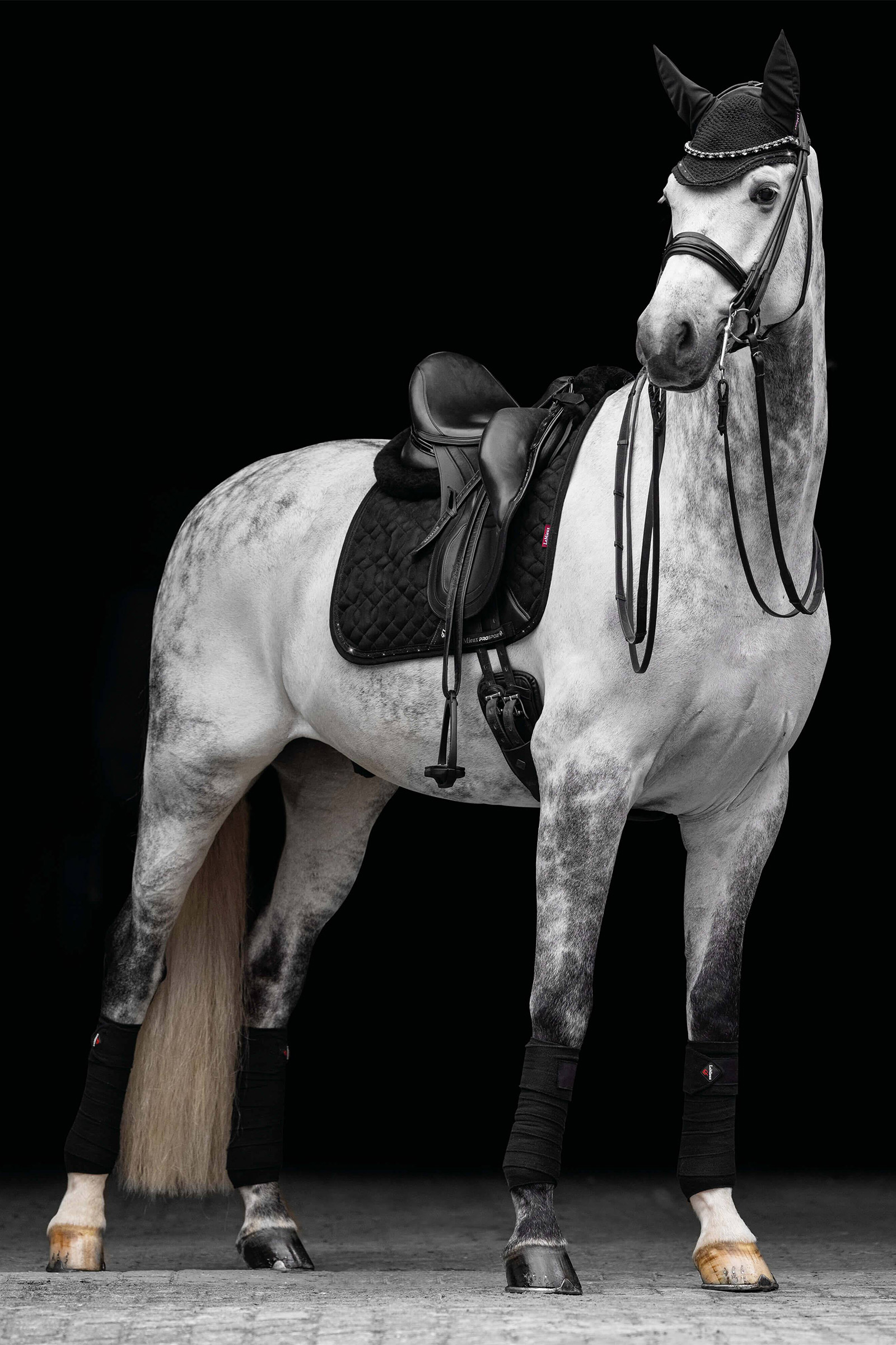 LeMieux Crystal Suede Czaprak ujeżdżeniowy