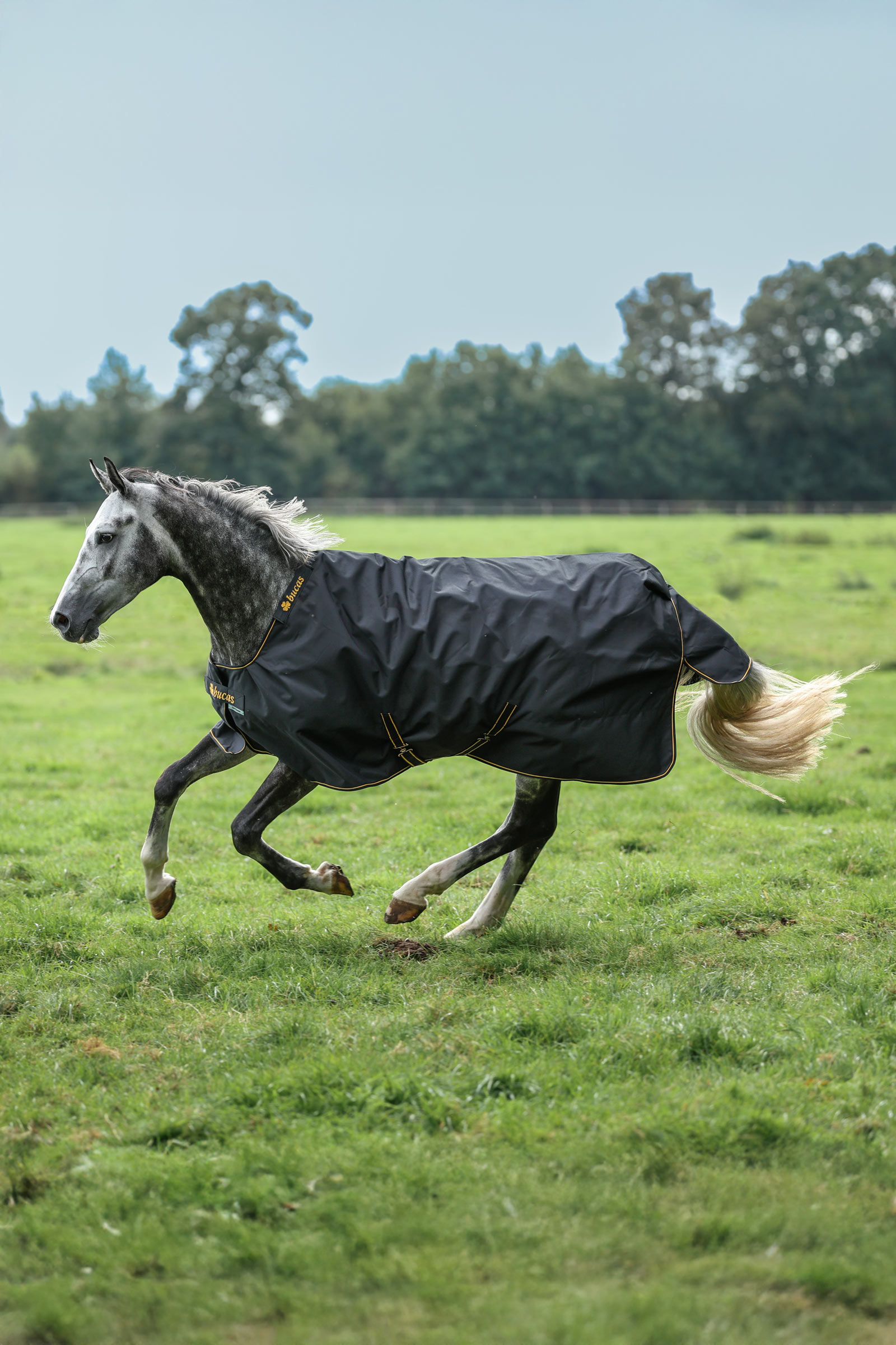 Bucas Irish derka padokowa, 100 g