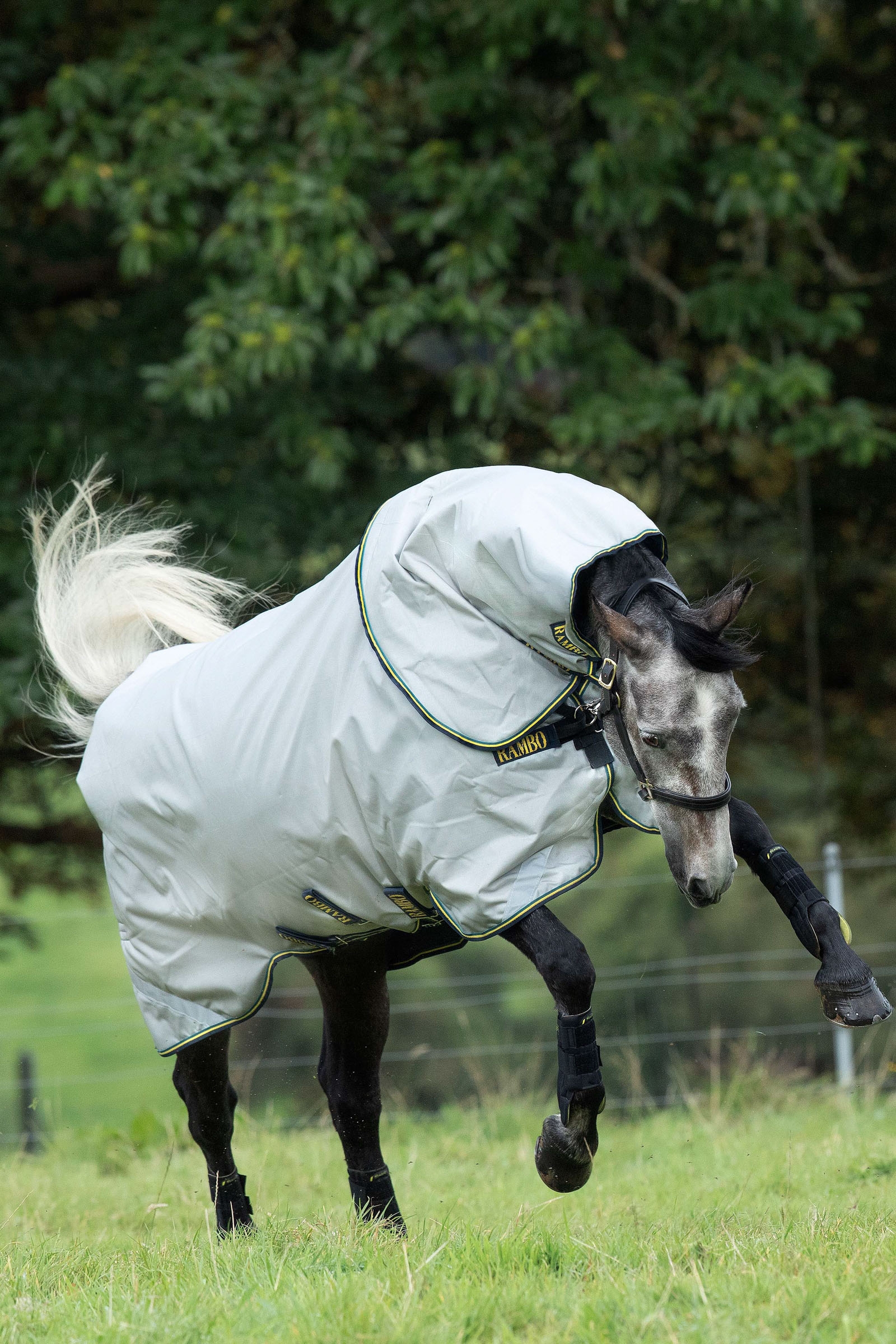 Zestaw derek Horseware Rambo Duo, 100 g