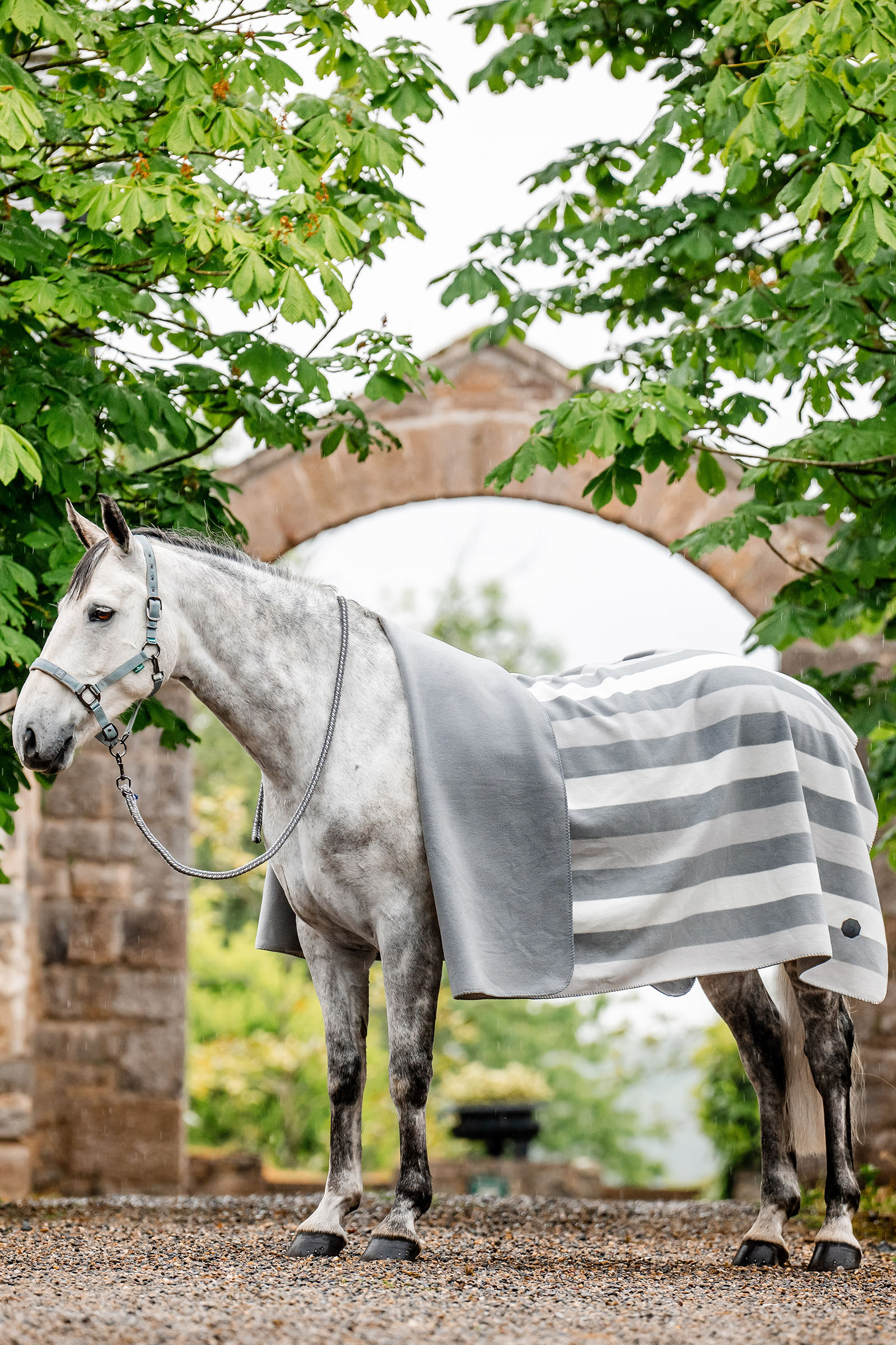 Horseware Newmarket Fleece Derka osuszająca (Square)