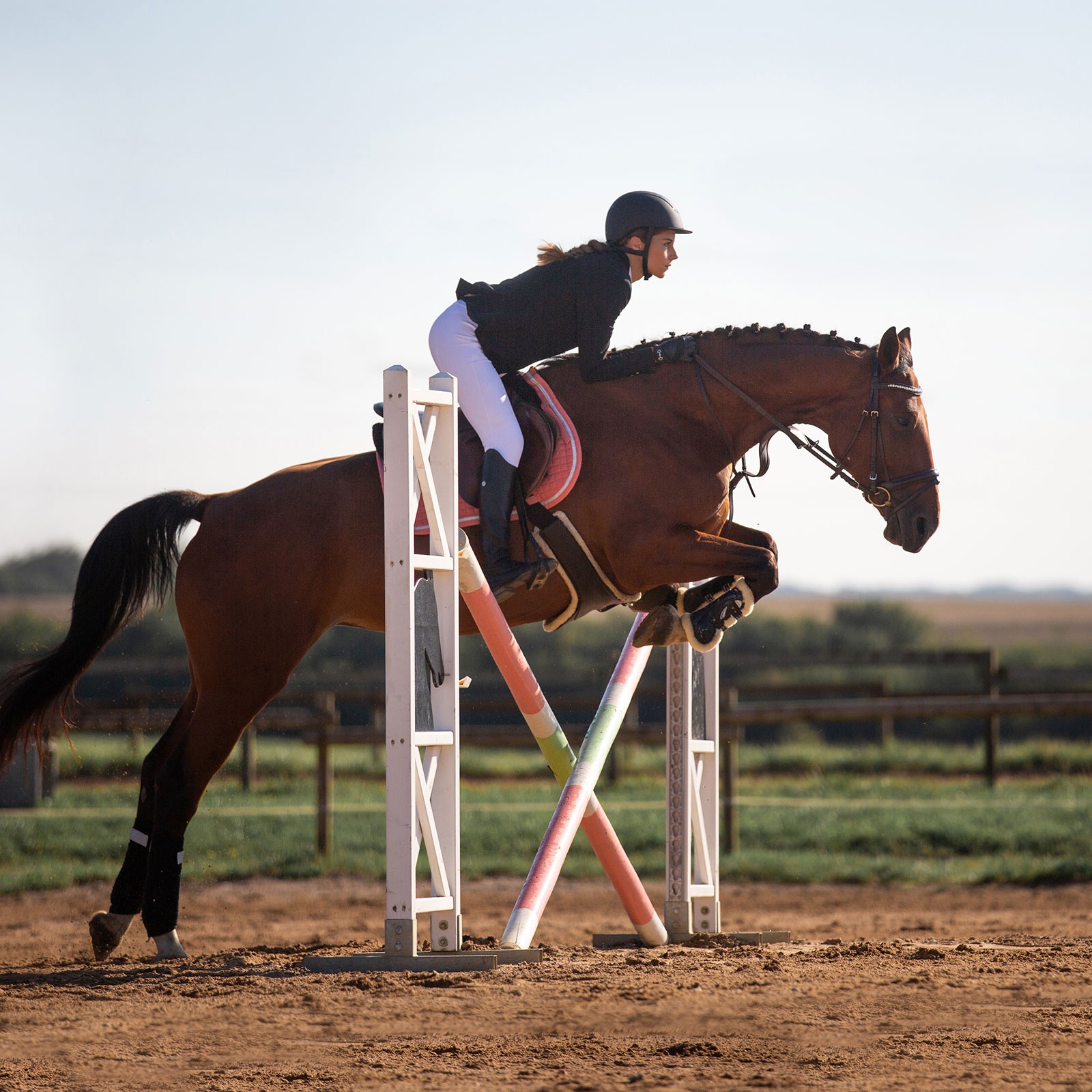 Popręg z fartuchem z podszyciem Horze Atlanta