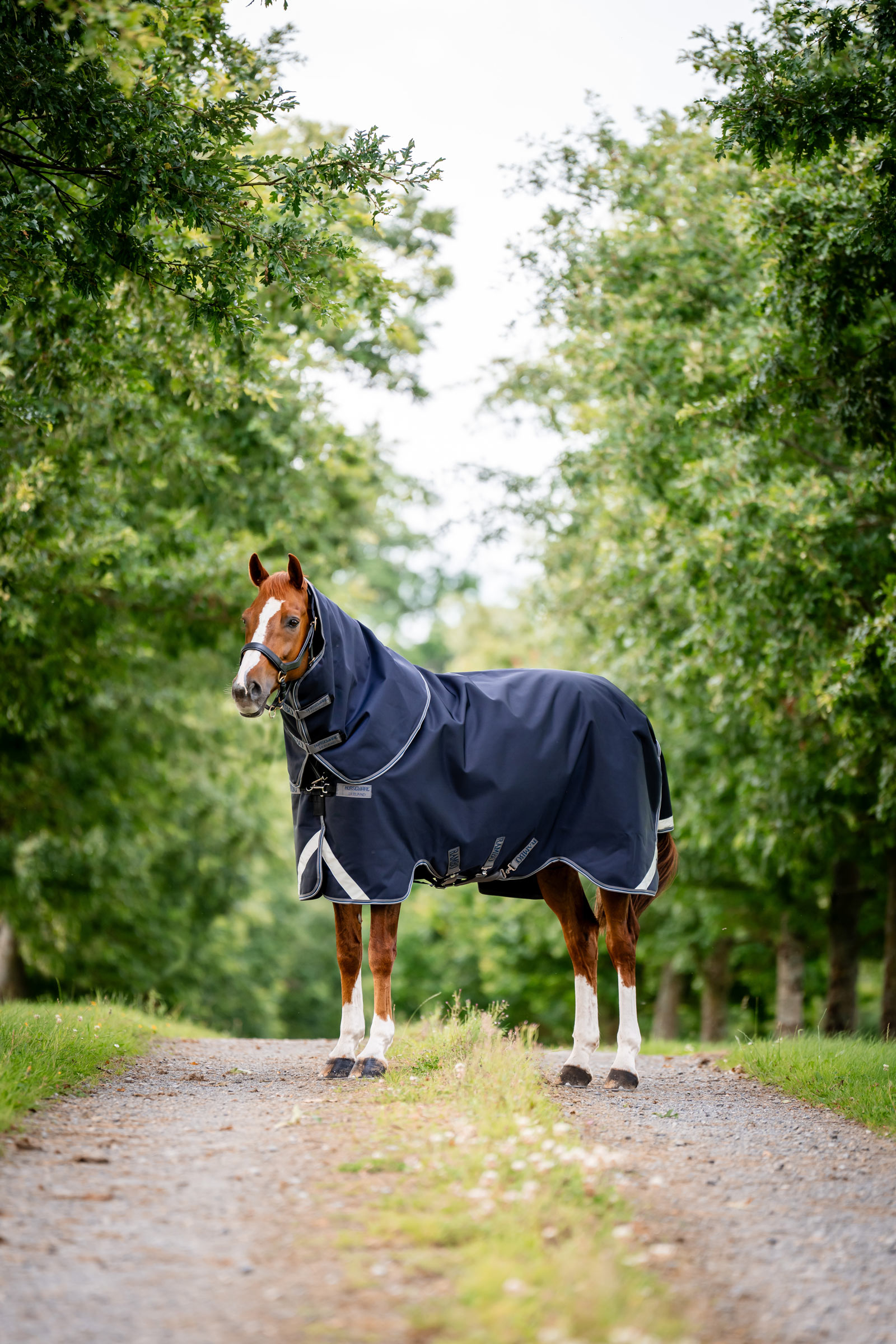 Horseware Rambo 1680D Plus Vario Layer derka padokowa, 250 g
