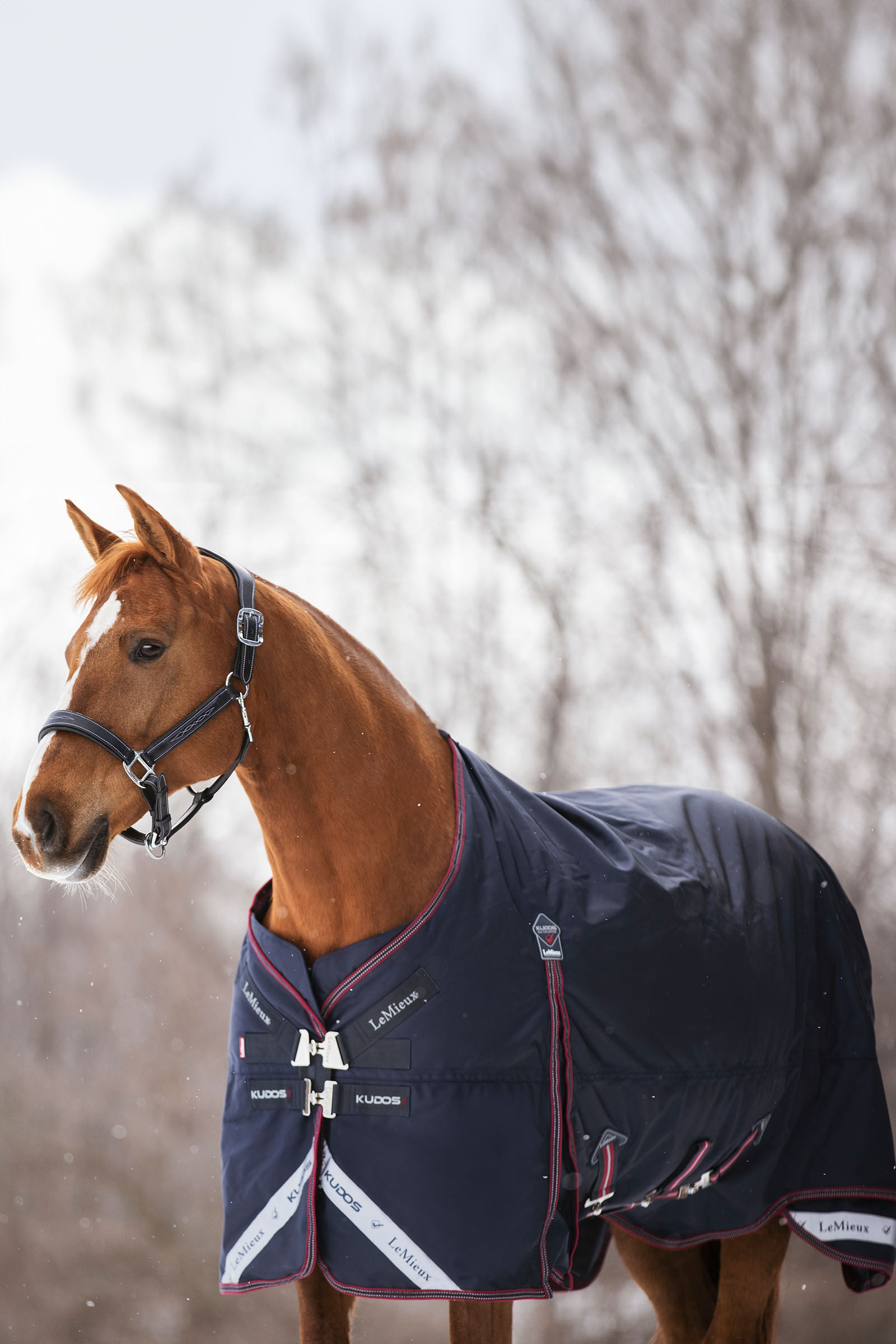 LeMieux Kudos lekka derka padokowa, 100 g