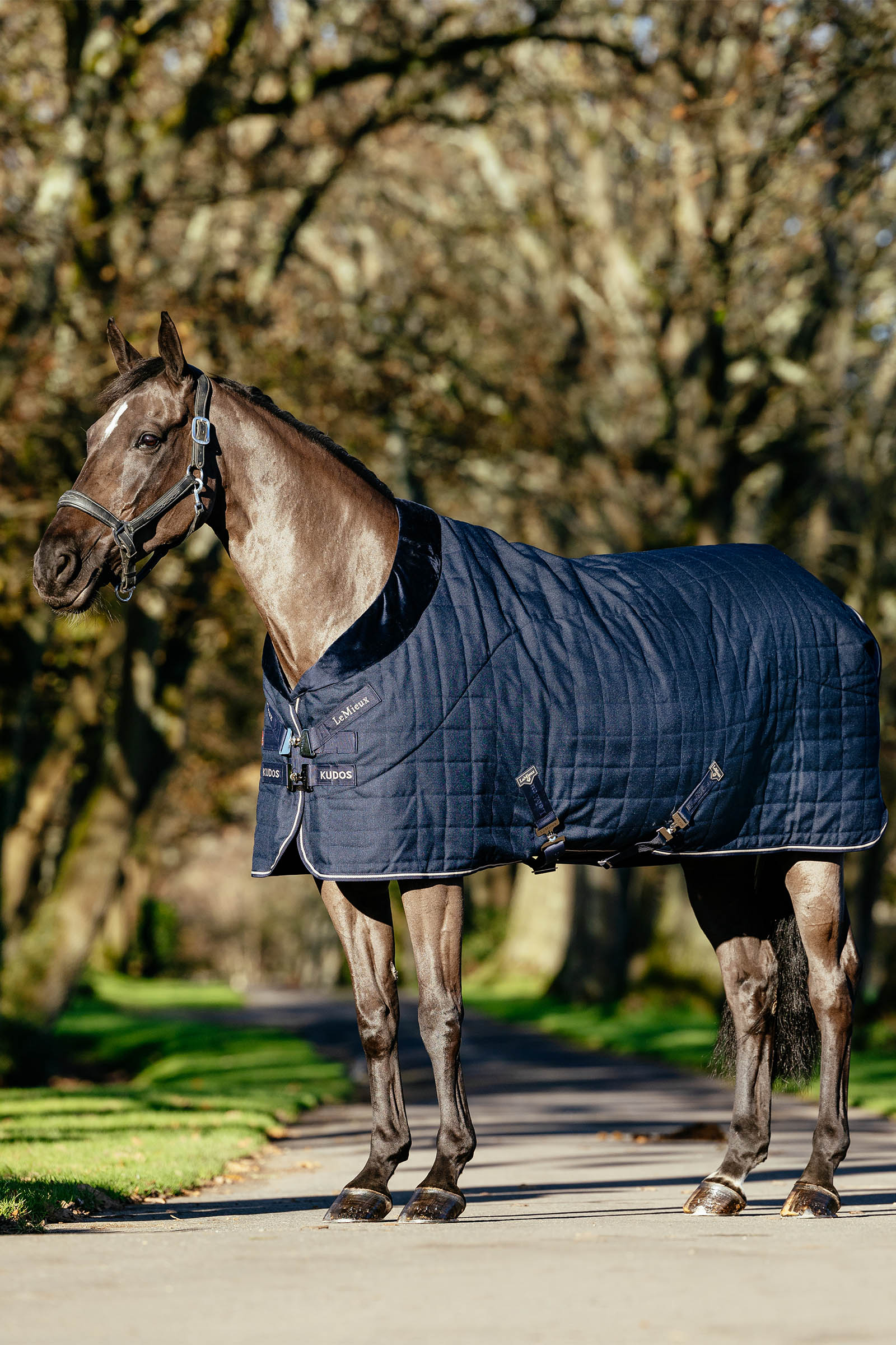 LeMieux Kudos Luxe ocieplany derka stajenna, 100 g