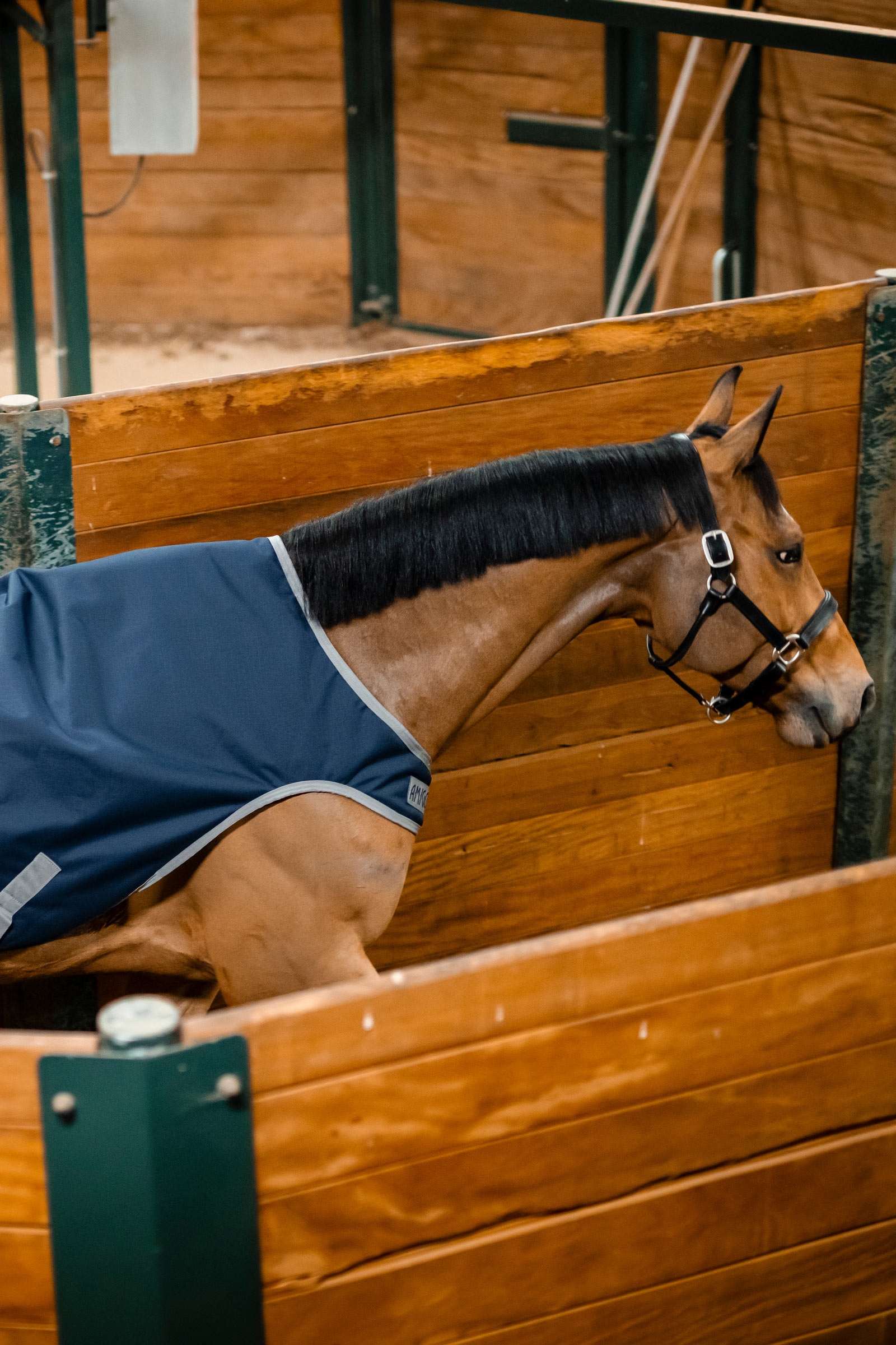 Horseware Amigo Ripstop 900D Walker derka, 100 g