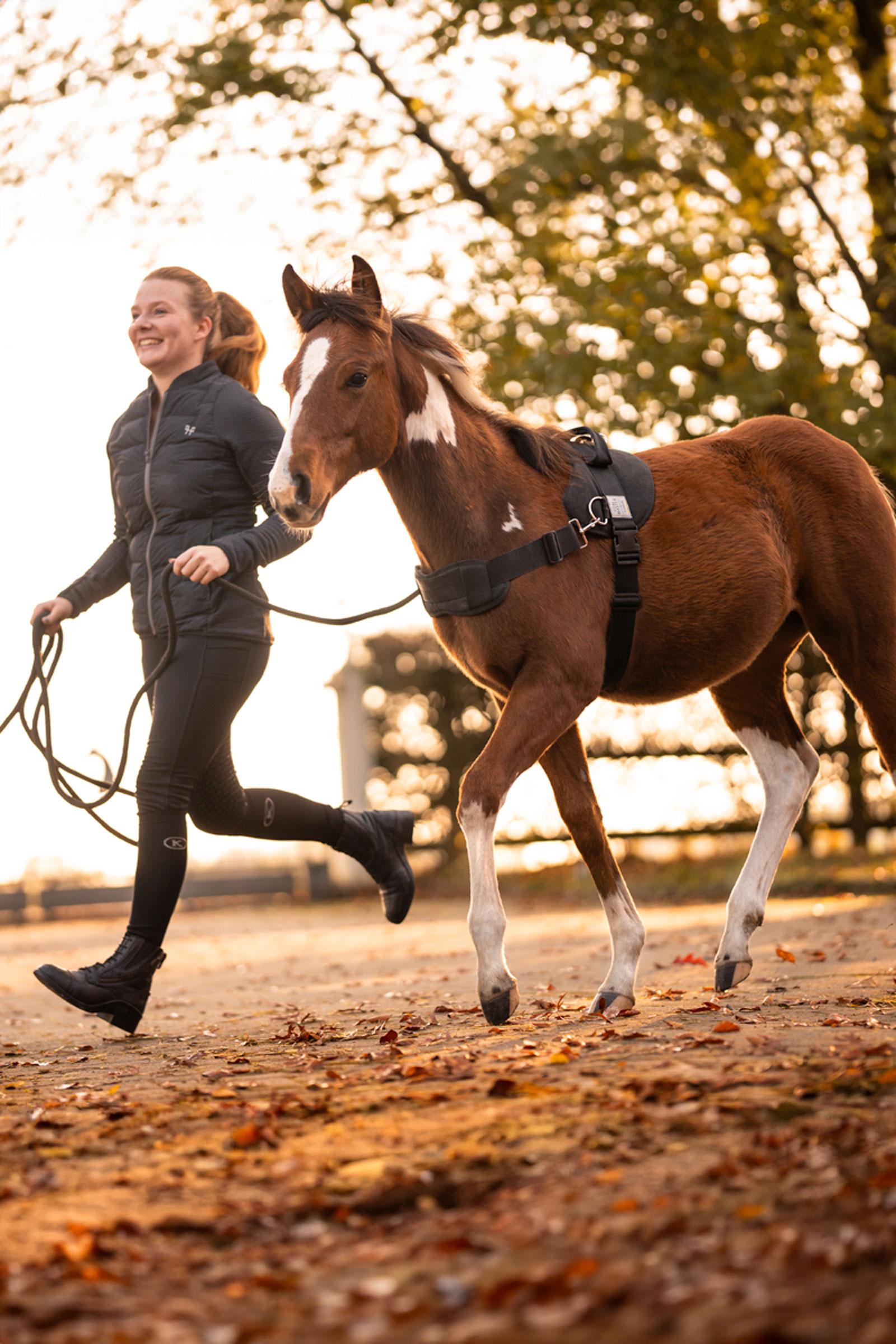 Kavalkade Foalmaster uprząż dla źrebiąt z uchwytem
