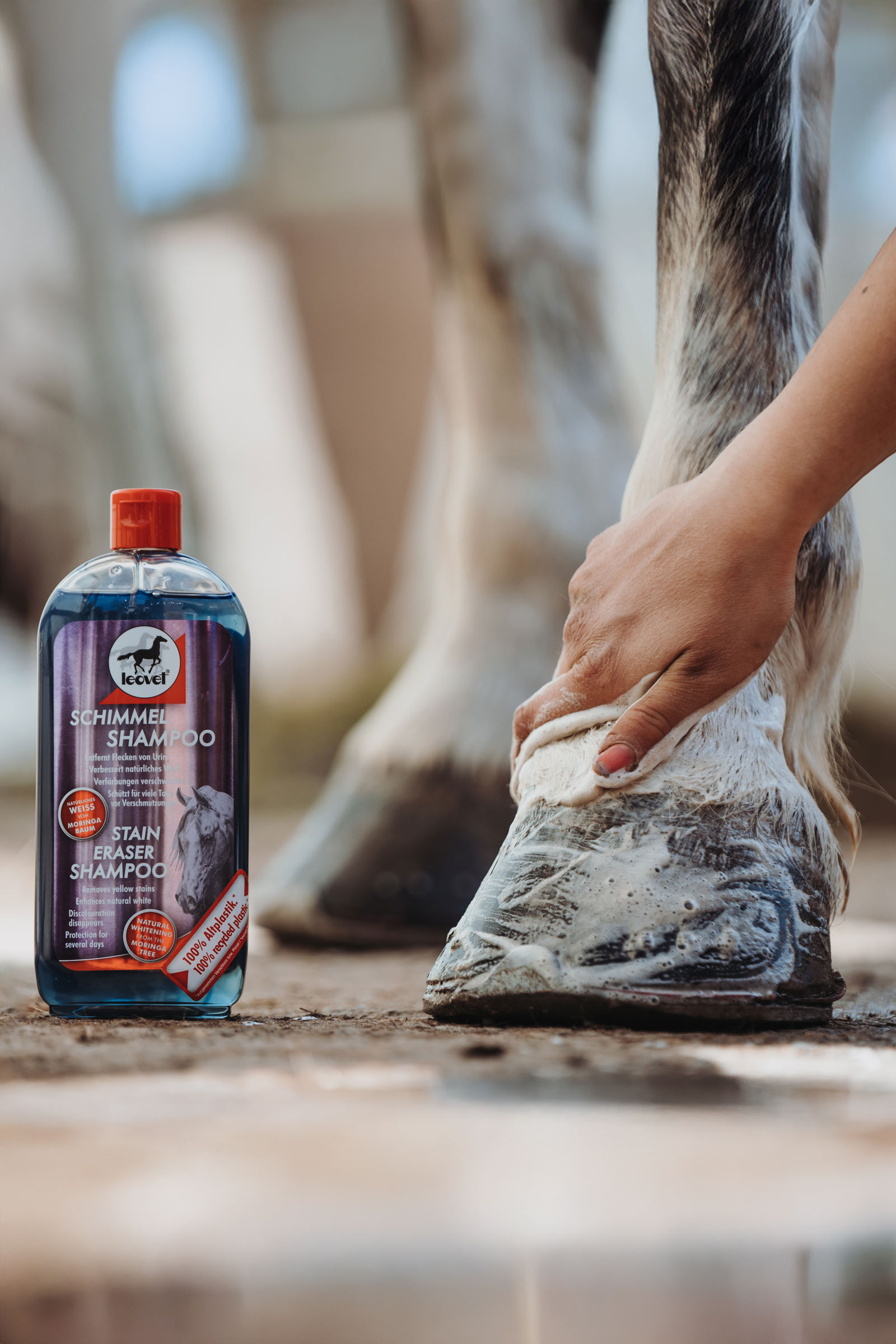 Leovet Stain Eraser - szampon