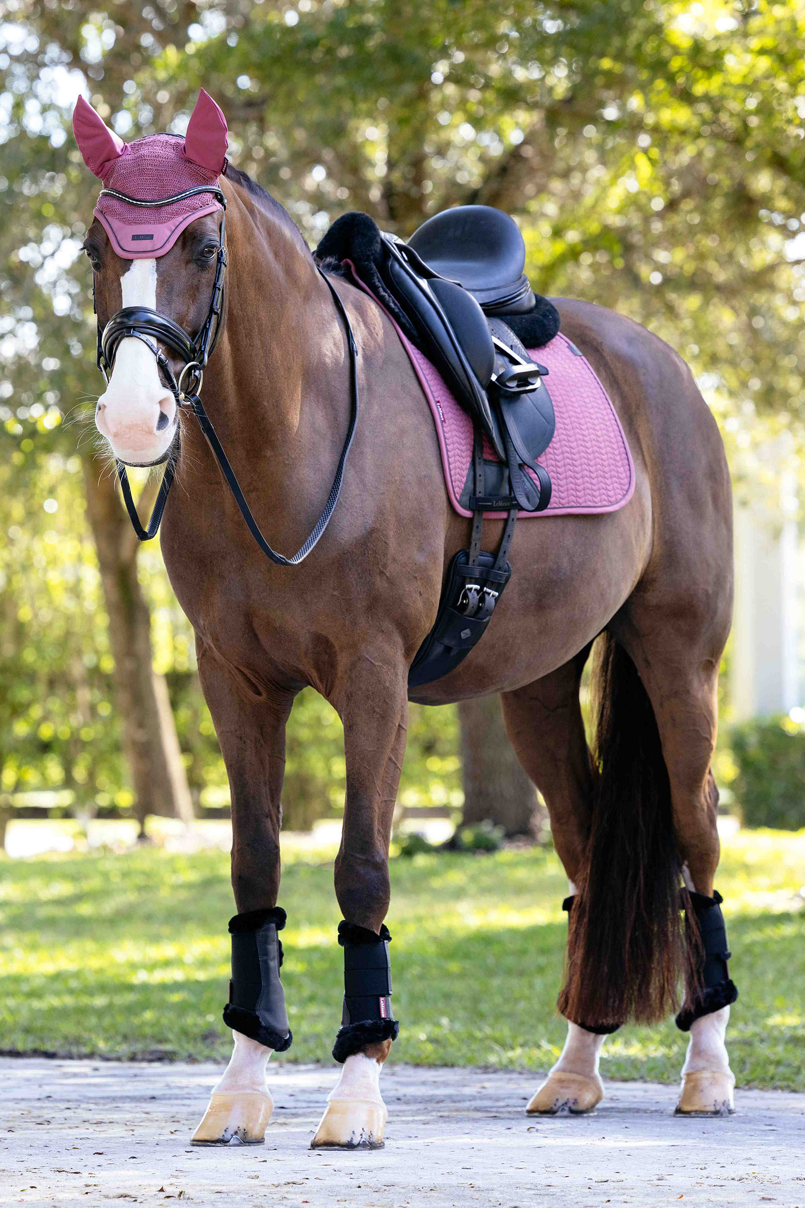 LeMieux Essence Czaprak ujeżdżeniowy