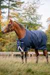 Horseware Amigo Bravo 12 Original derka padokowa, 250g