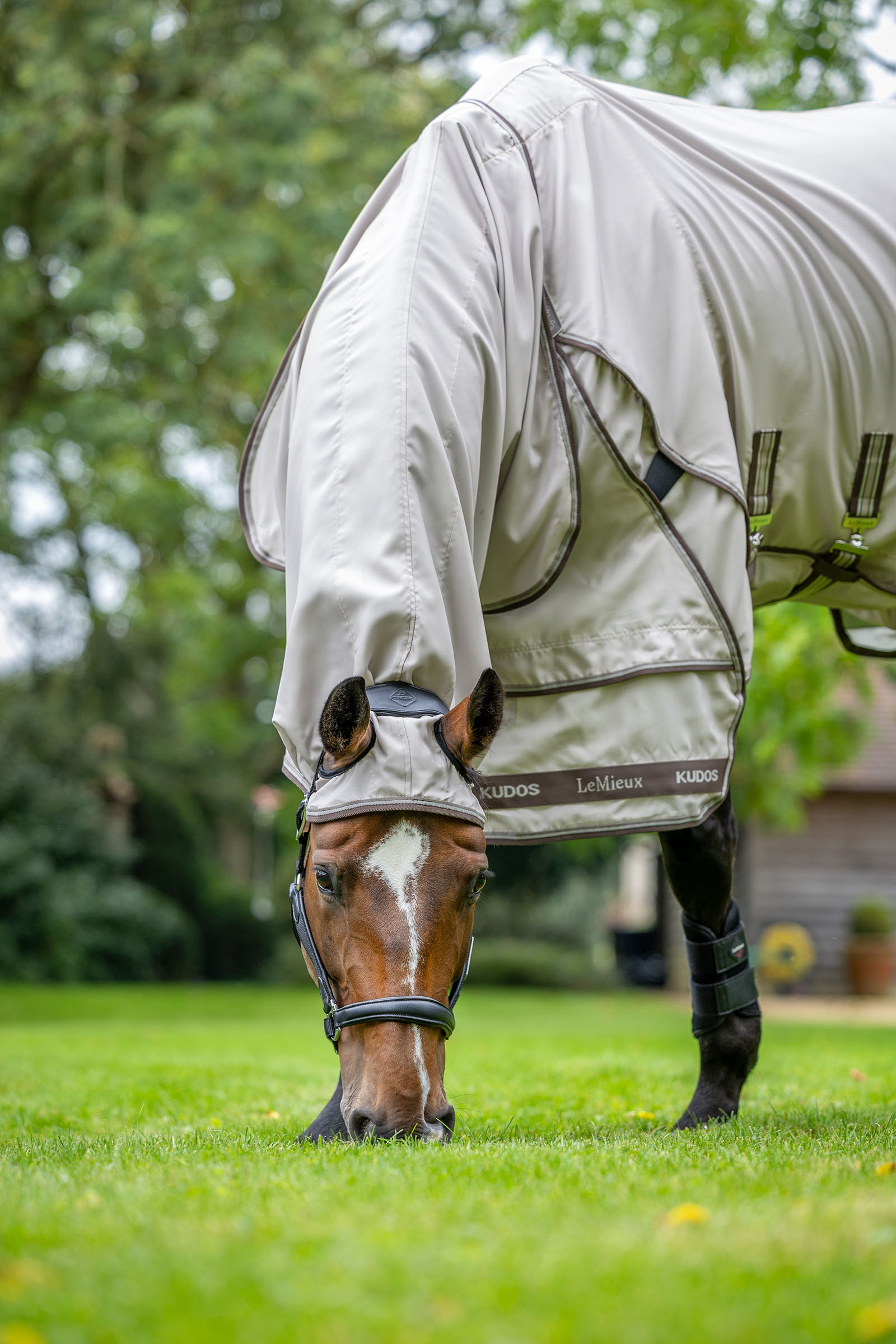 LeMieux Kudos derka przeciwko świądowi
