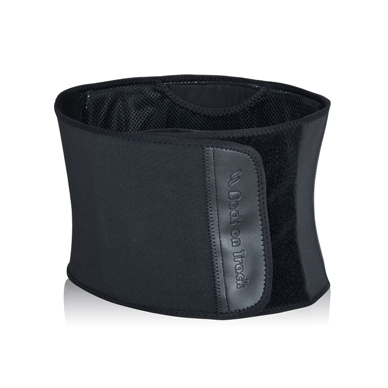 Pas na plecy Back On Track