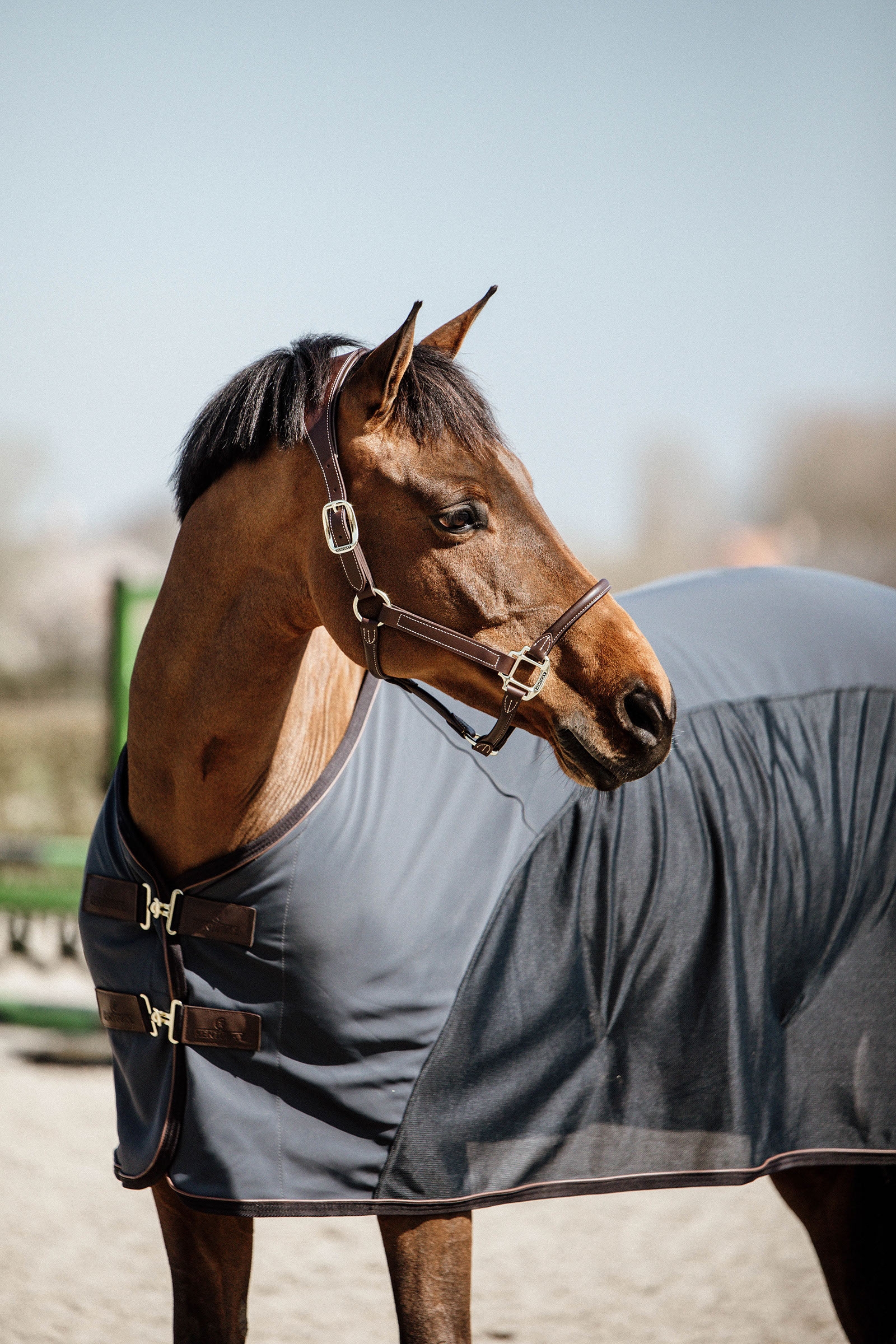 Derka Kentucky Horsewear Cooler Softshell