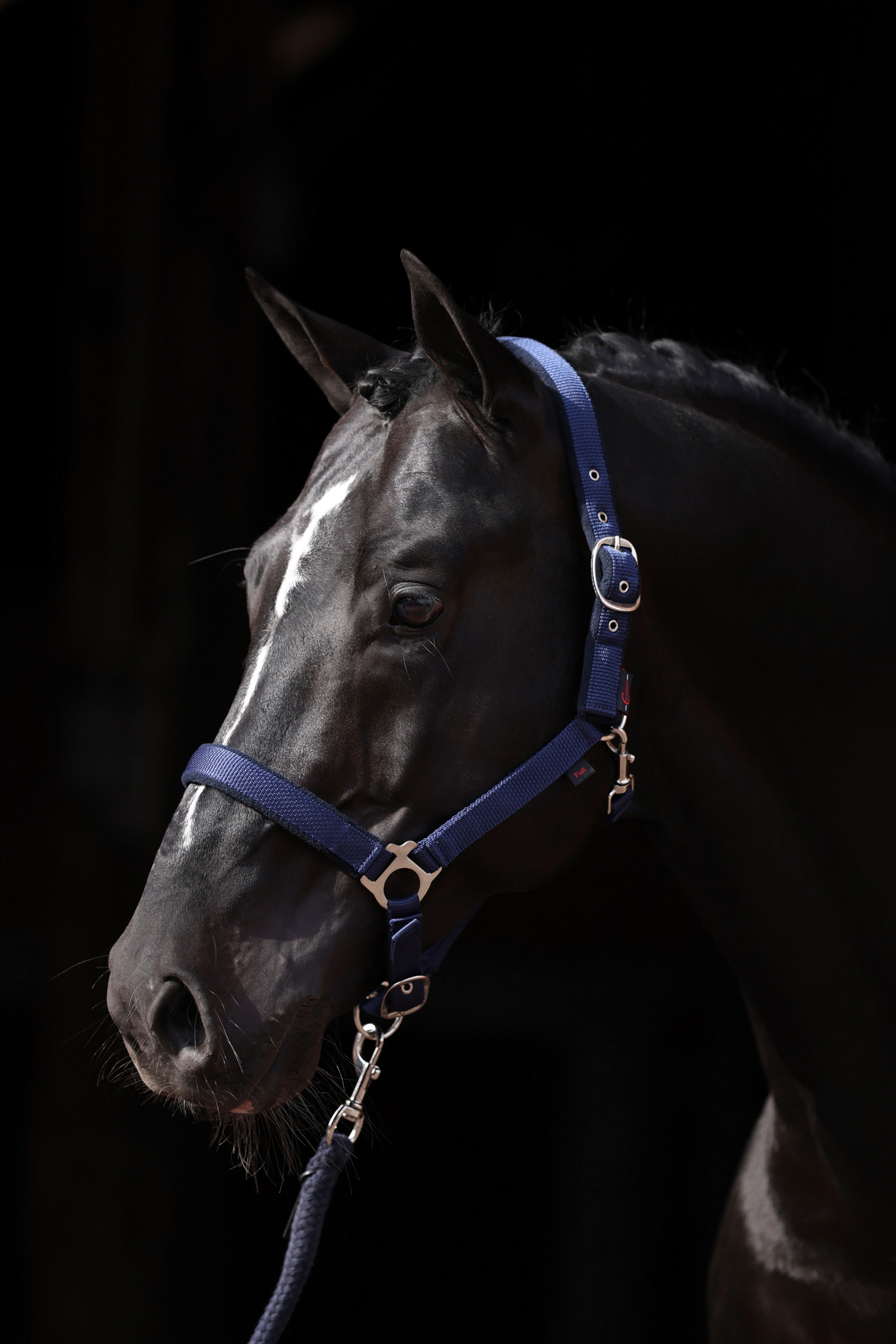 DB/AB Covalliero Dexter Kantar z polarowym podszyciem