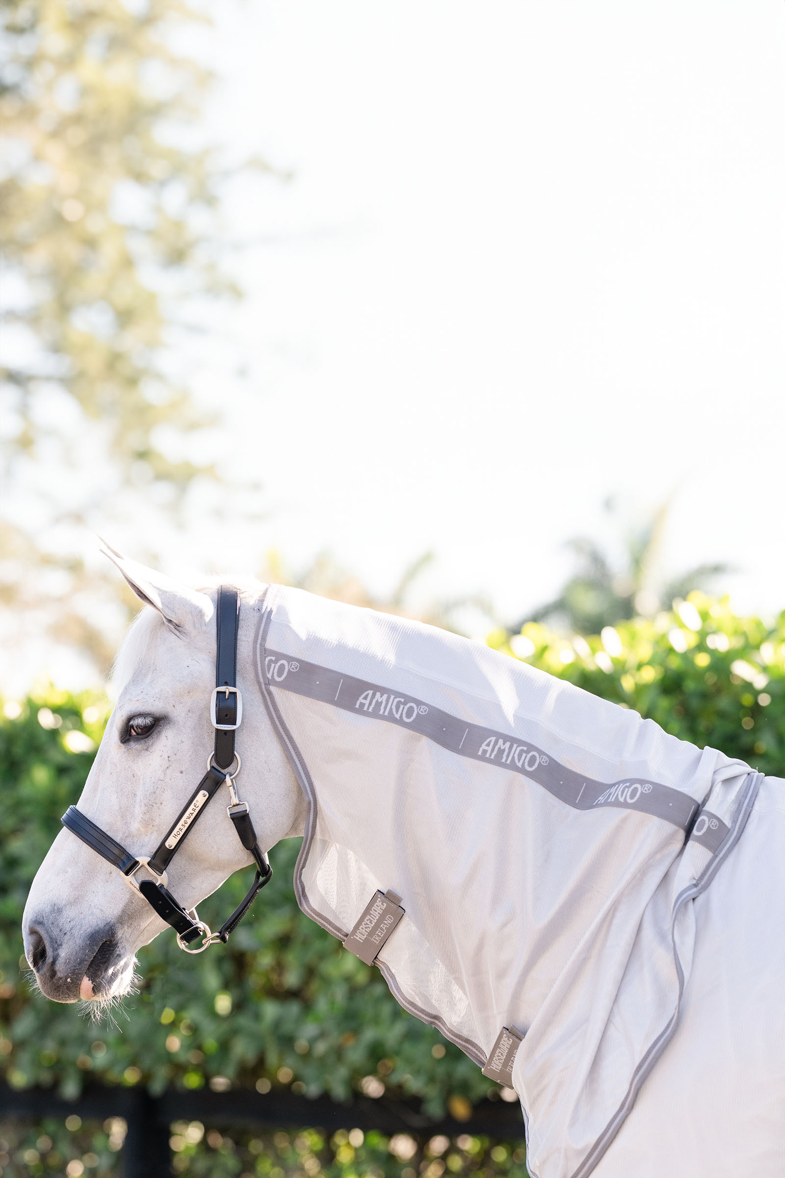 Horseware Amigo Zintegrowana Derka Przeciw Owadom