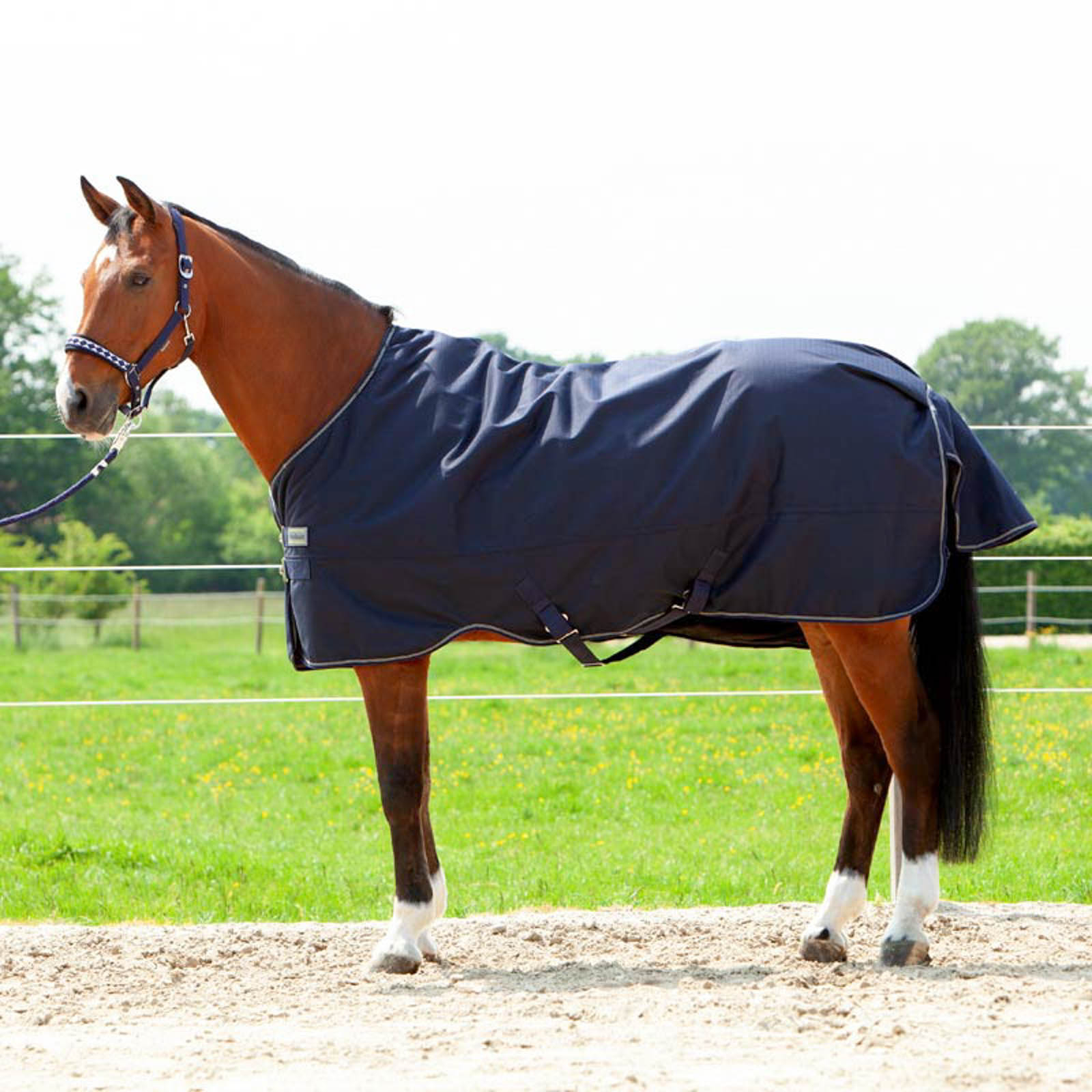 Kavalkade Montreal Turnout Rug, 0g