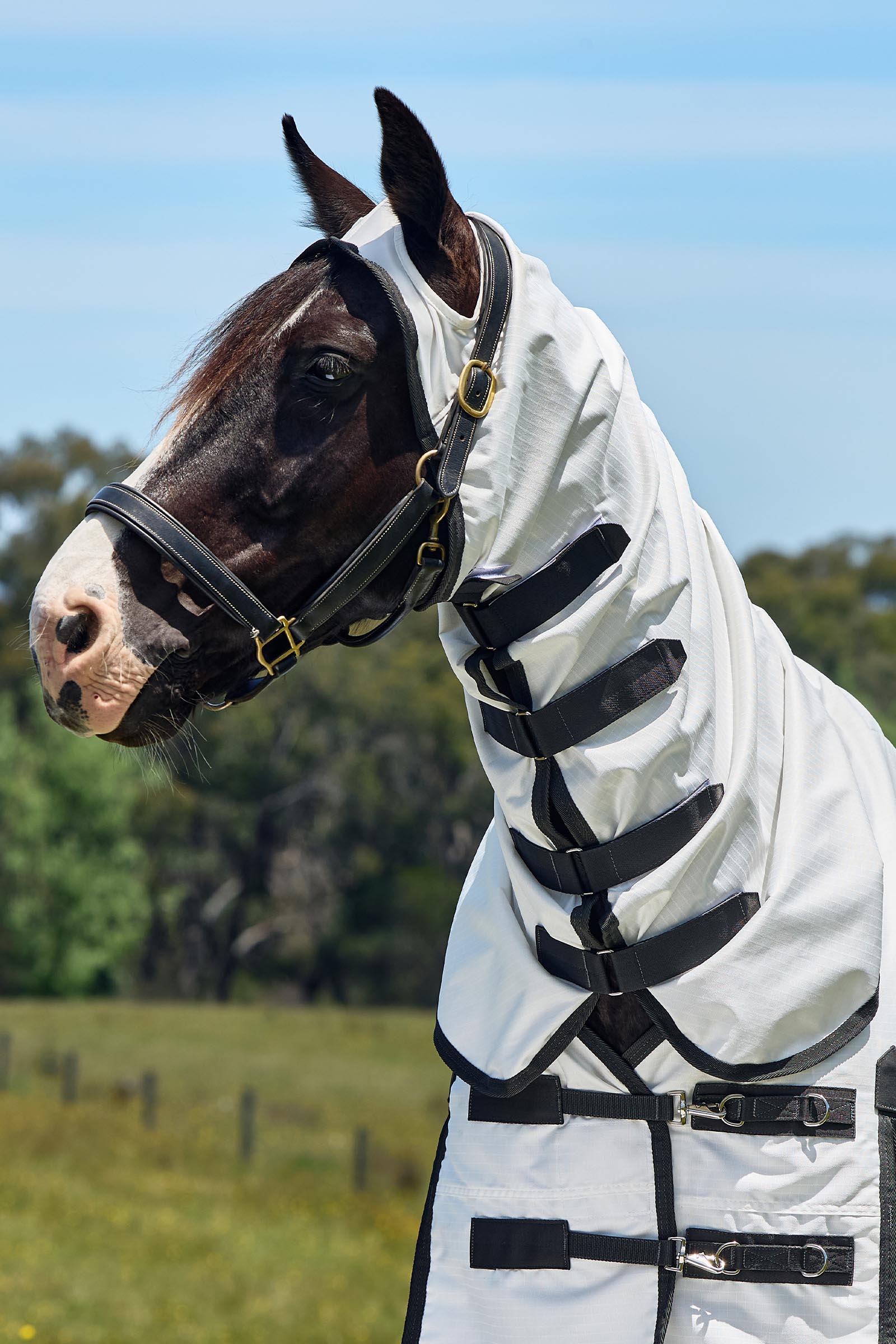 Weatherbeeta ComFiTec Sweet Itch Shield Derka przeciw muchom combo ze stałą szyją, 0 g  
