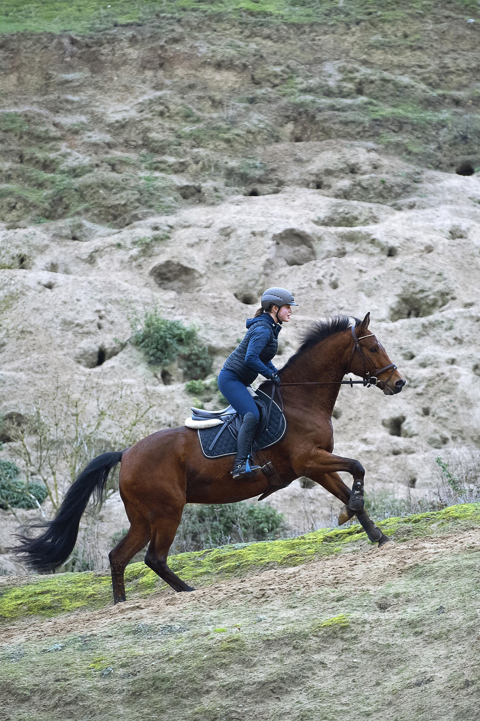 Kask jeździecki Uvex elexxion tocsen