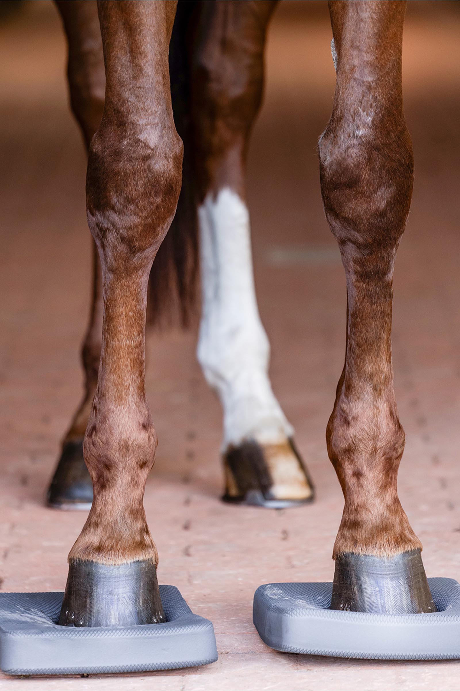 Waldhausen Health + Care Poduszki Balance