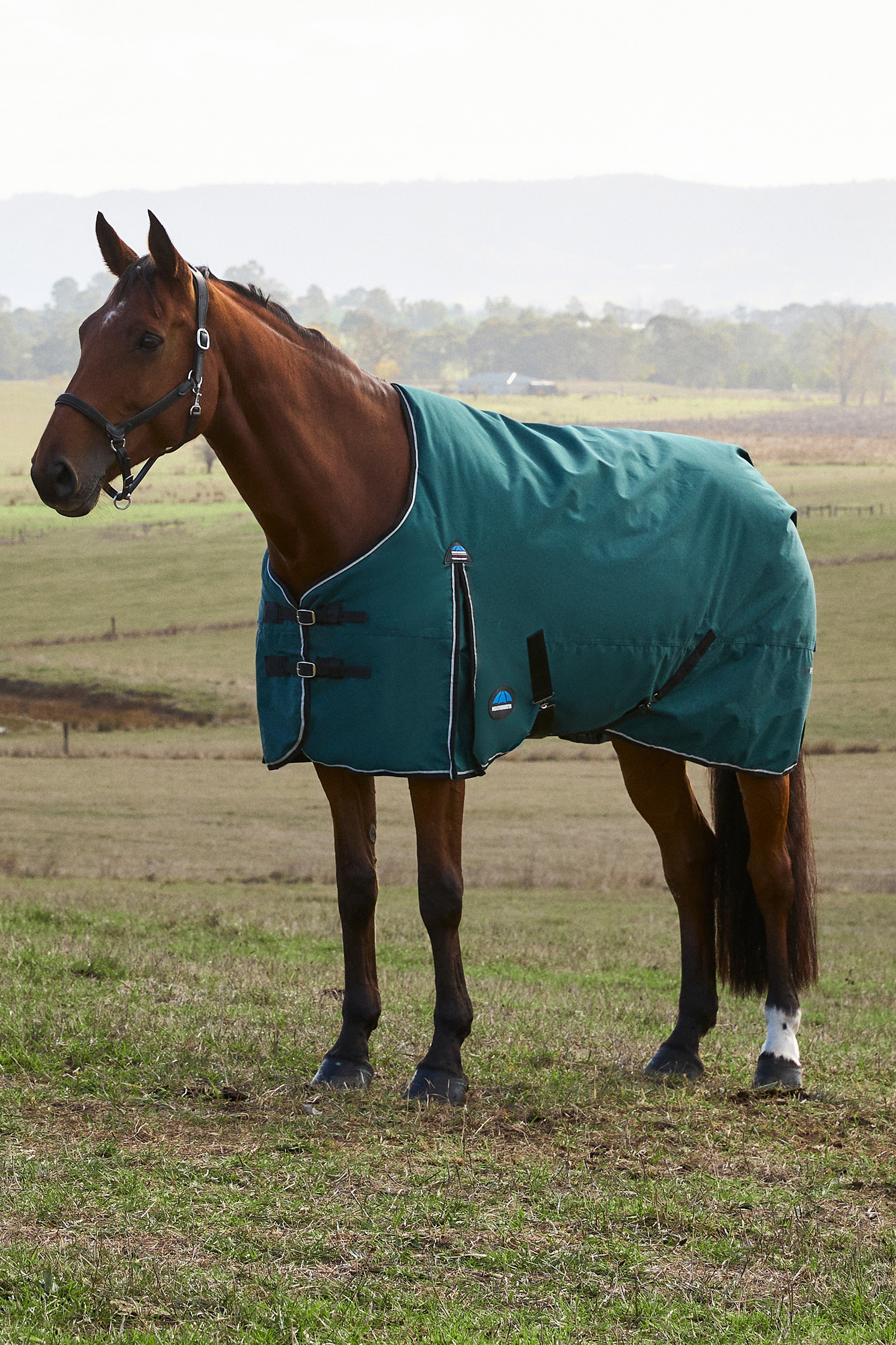 Weatherbeeta ComFiTec Classic Turnout Standard Neck 220G