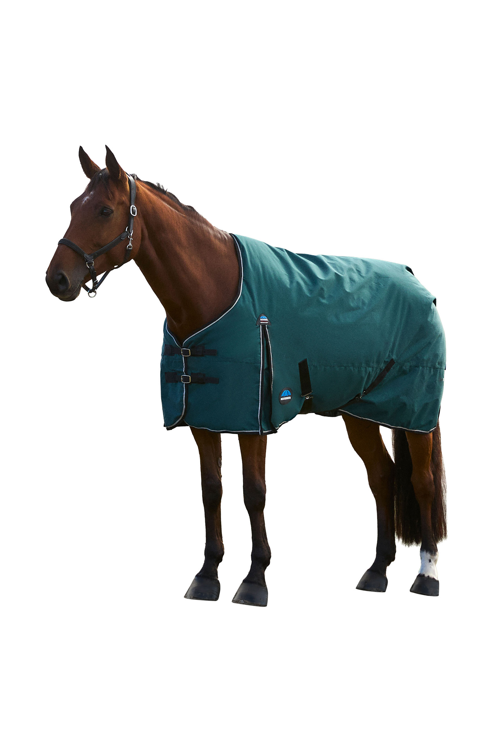 Weatherbeeta ComFiTec Classic Turnout Standard Neck 220G