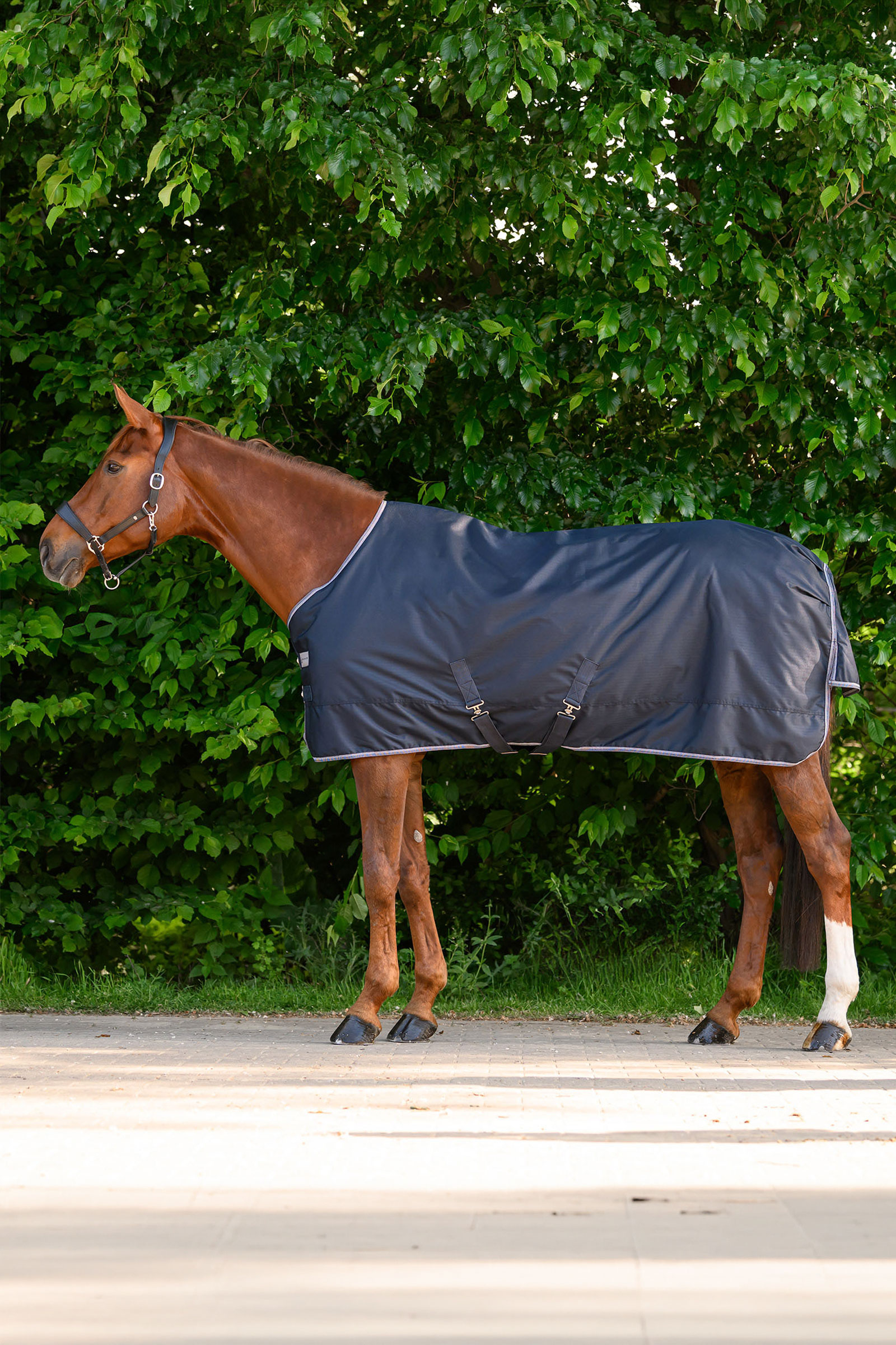 Waldhausen ECONOMIC derka padokowa, 200g