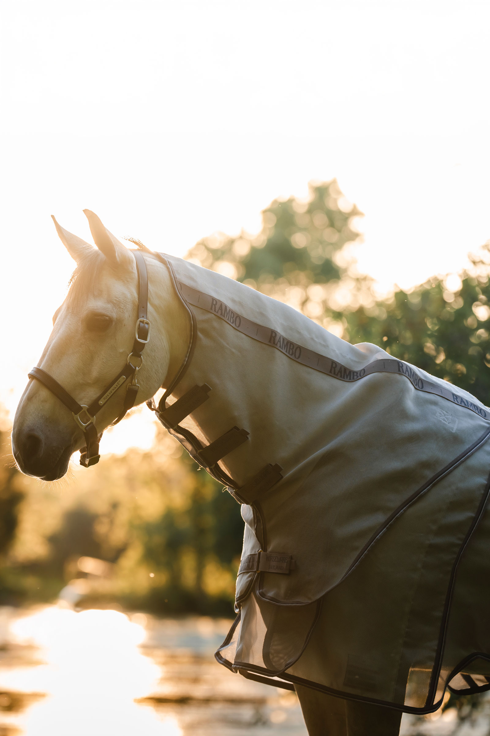 Horseware Rambo Optimo Protector Plus derka