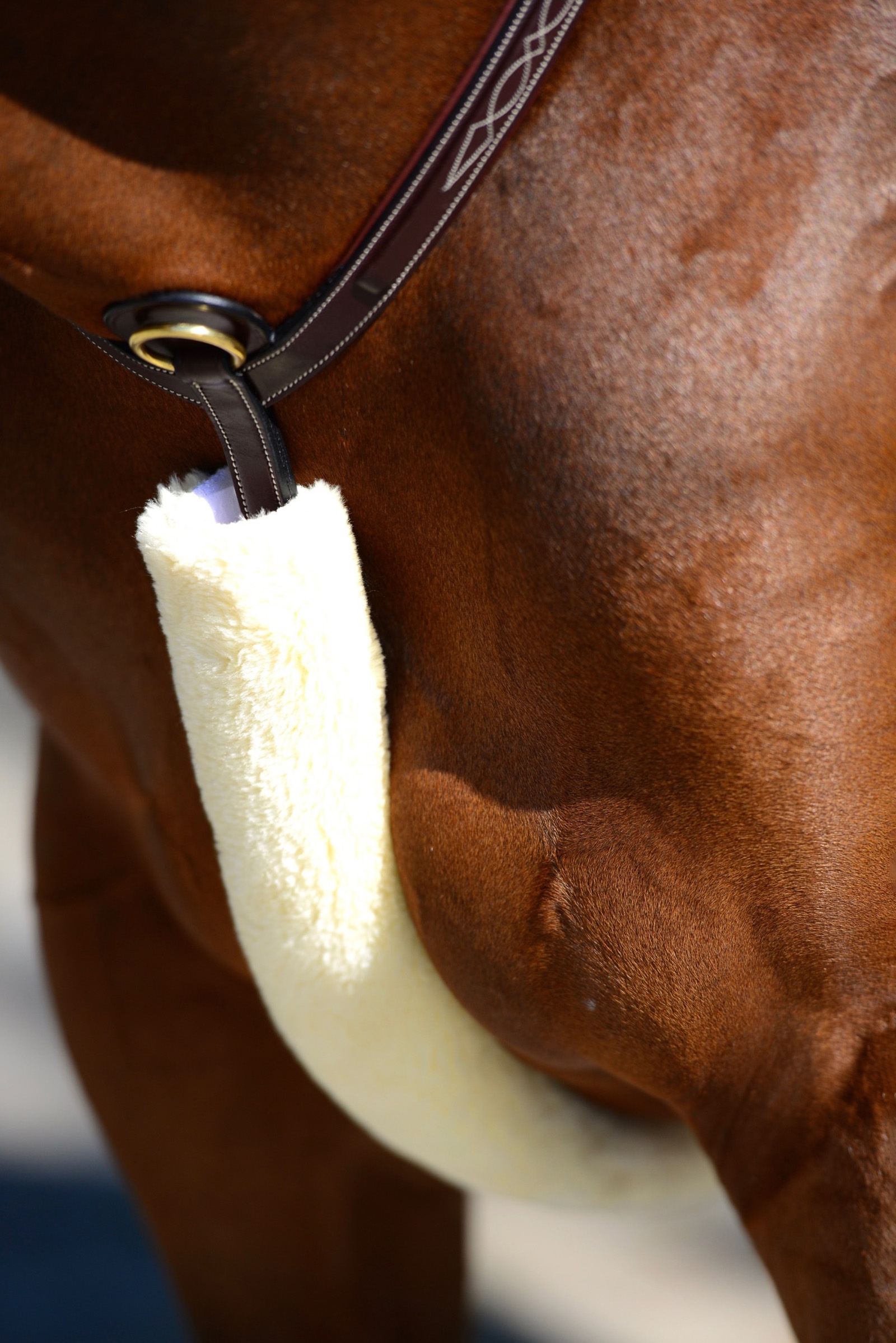 Natural Osłona na napierśnik z wełny owczej Kentucky Horsewear Sheepskin