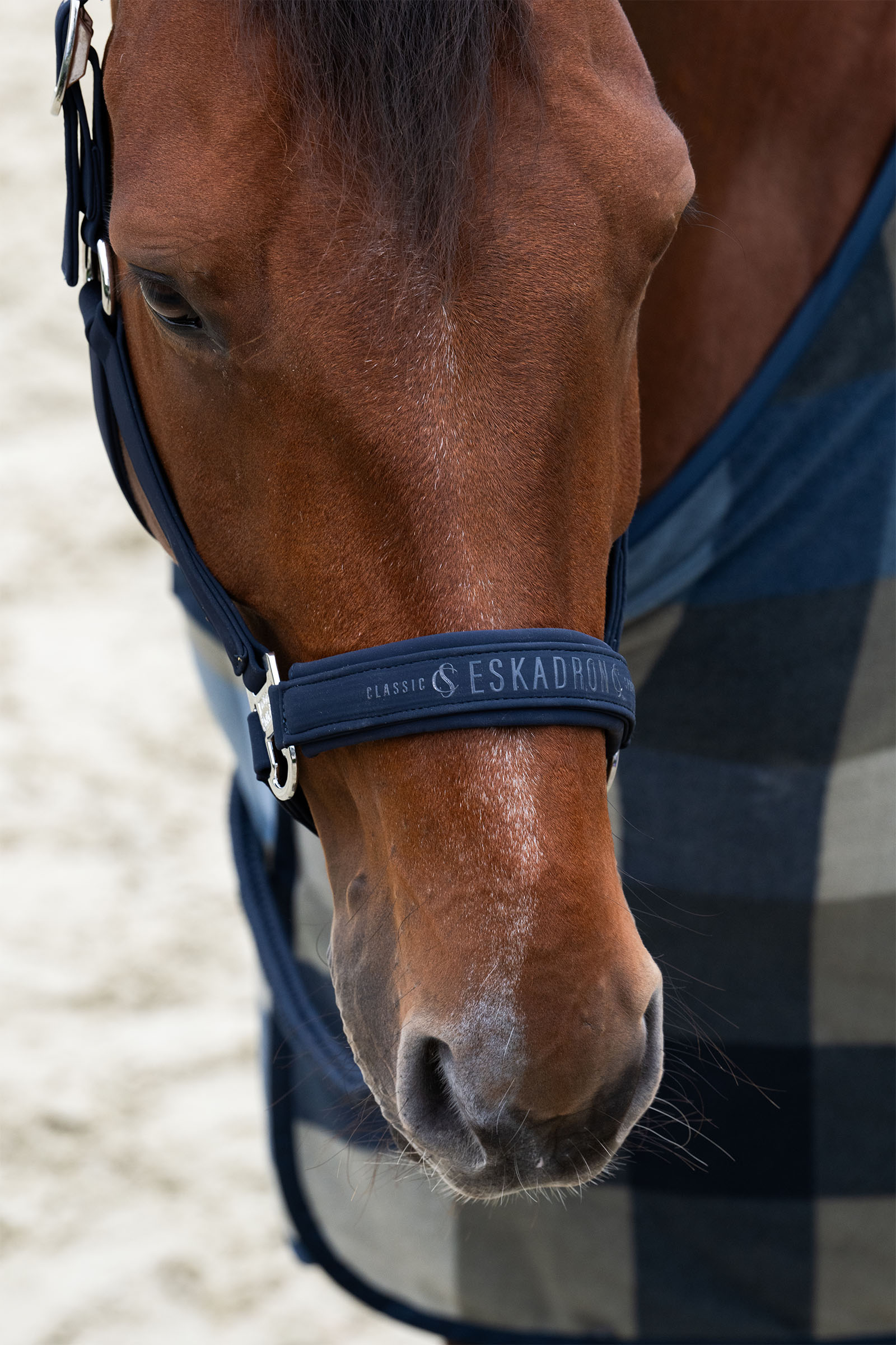 Eskadron Classic Sports SS25 Softshell Double Pin kantar