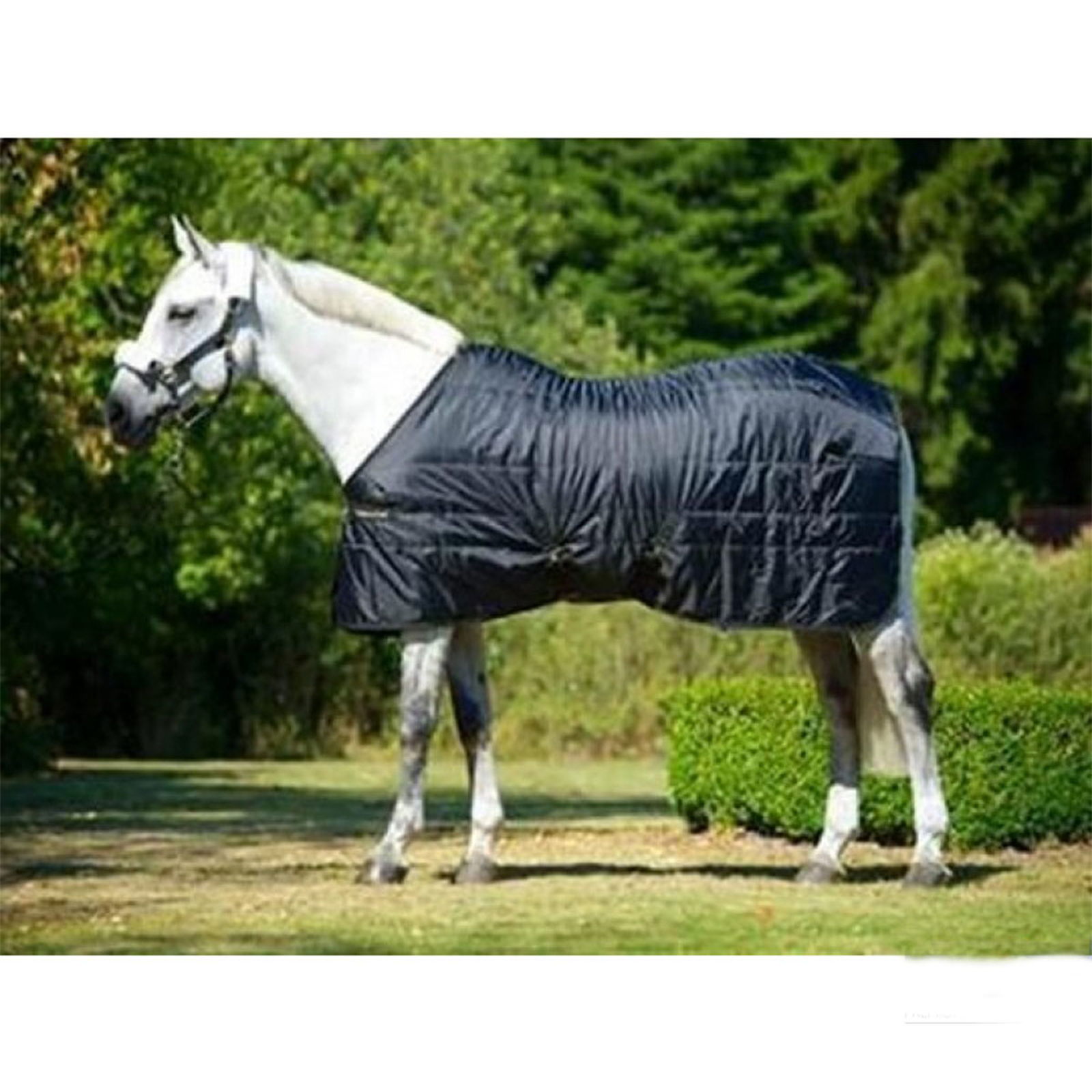 Back On Track Rug Rime Mia, 160 g