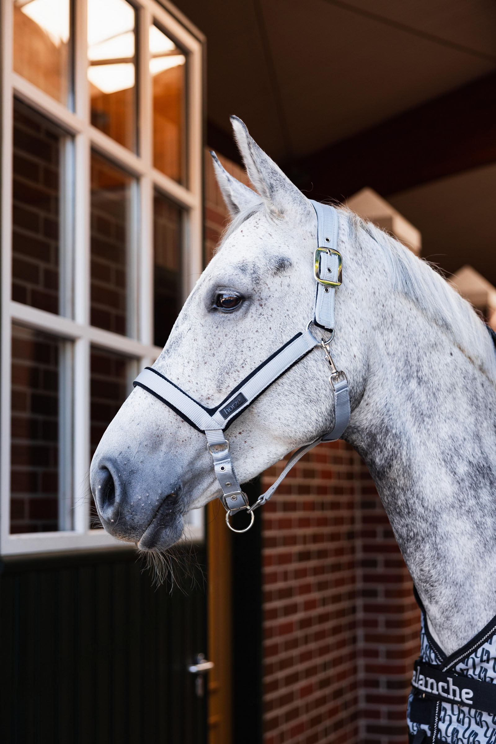 Horze Del&eacute;mont Kantar 