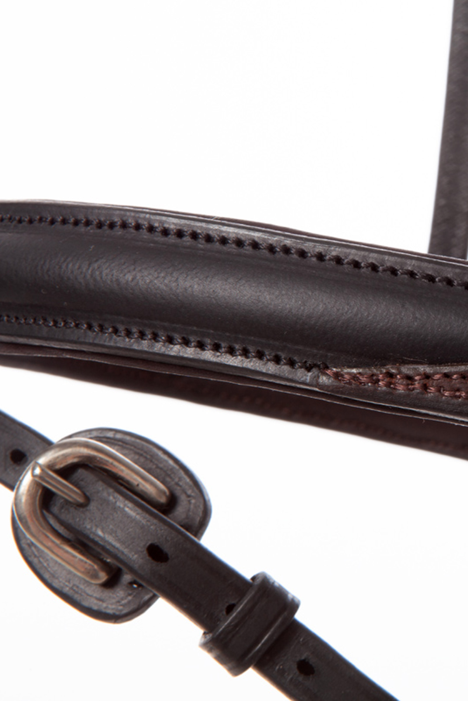 Ogłowie Kavalkade na co dzień