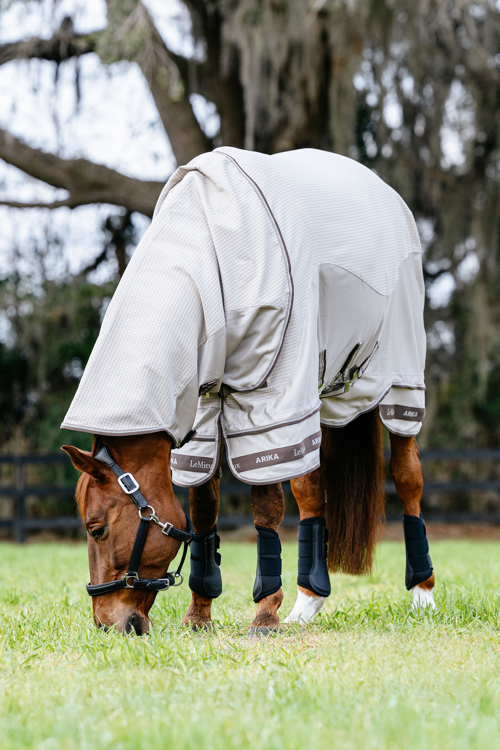 LeMieux Arika 450D Sunstopper derka padokowa z odpinanym kapturkiem, 0 g