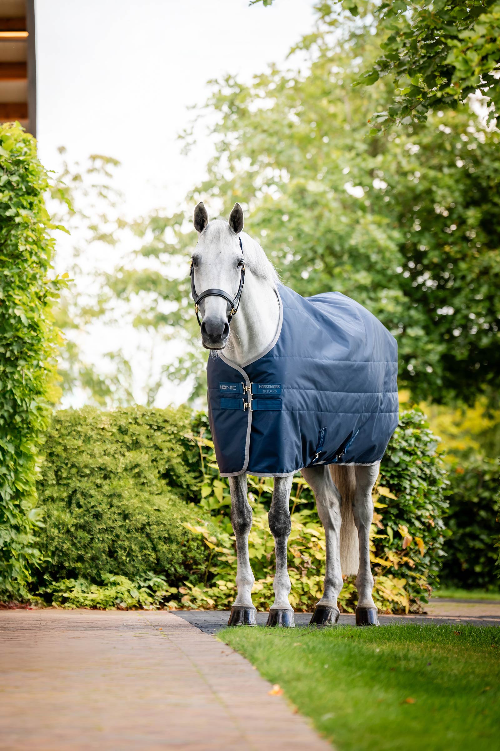 Horseware Ionic Therapy Derka stajenna, 50g