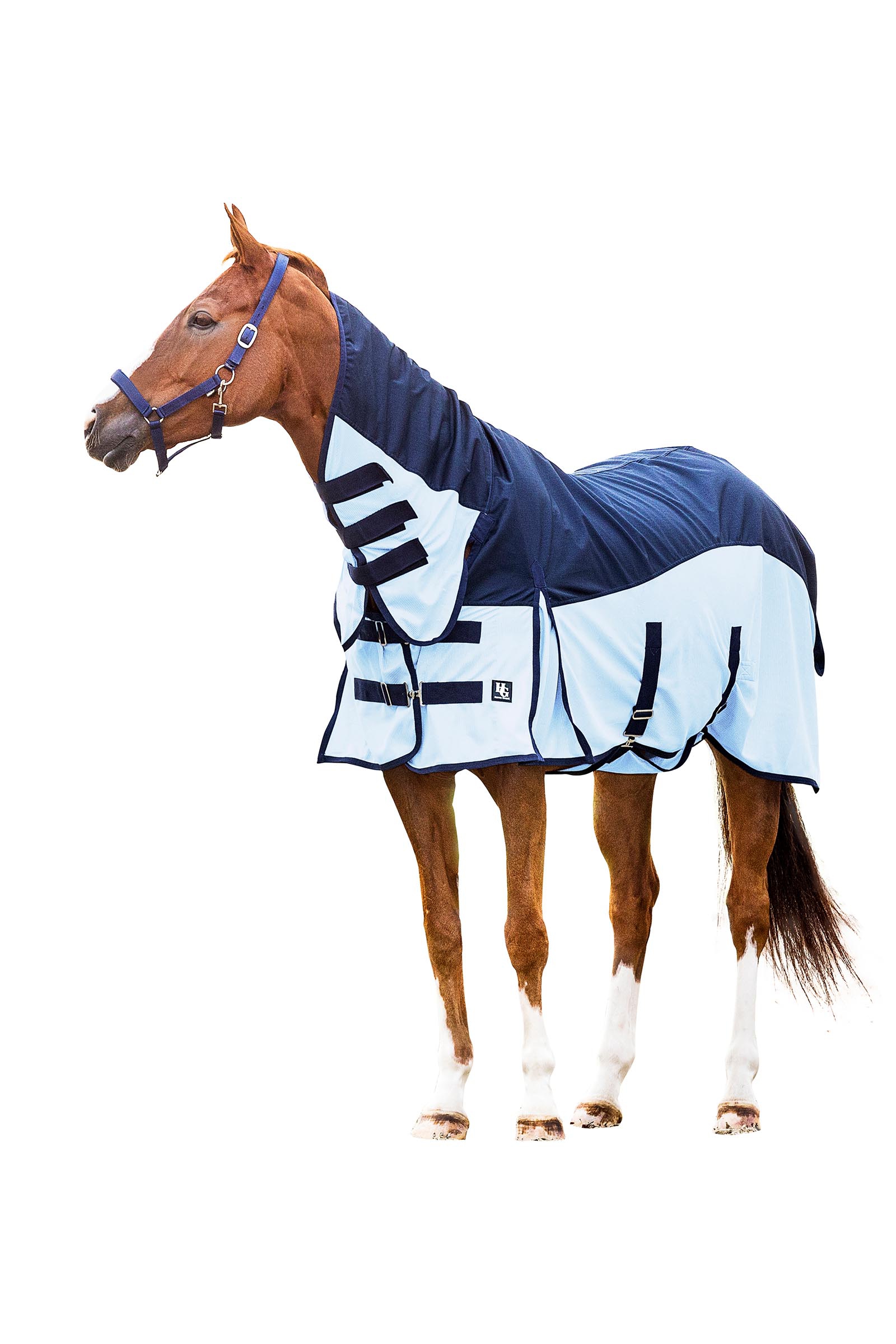 HorseGuard Aiman Rain & Insect Rug