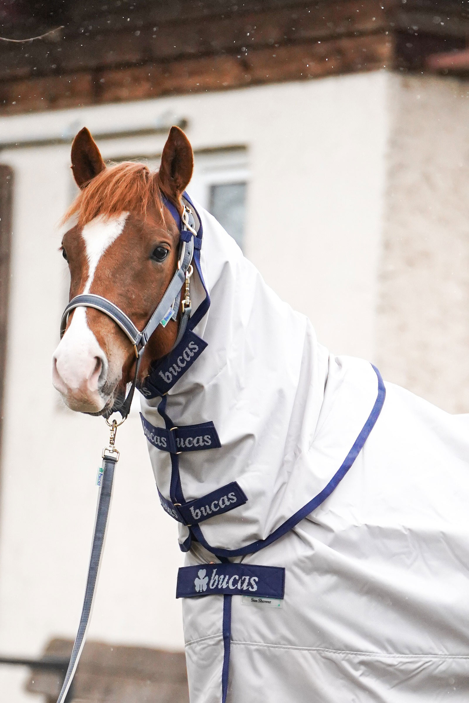 Bucas Sun Shower Kaptur do derki, 0 g