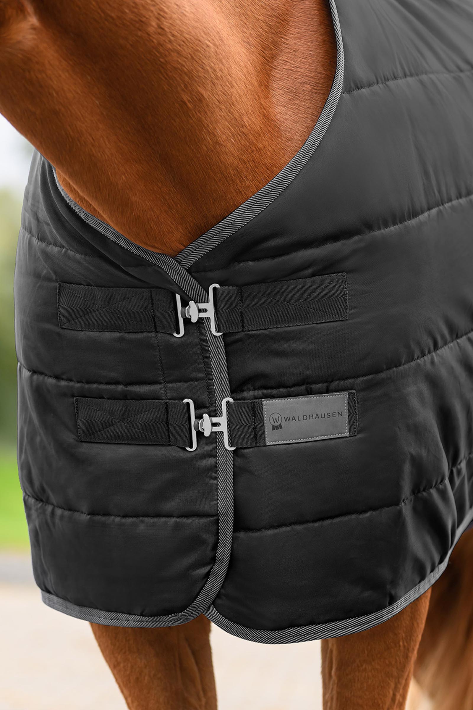 Waldhausen ECONOMIC derka stajenna, 100g