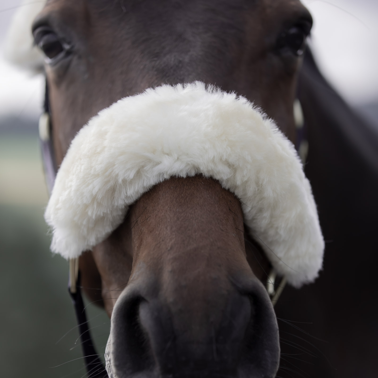 Kantar B Vertigo Laurier z jagnięcym futerkiem
