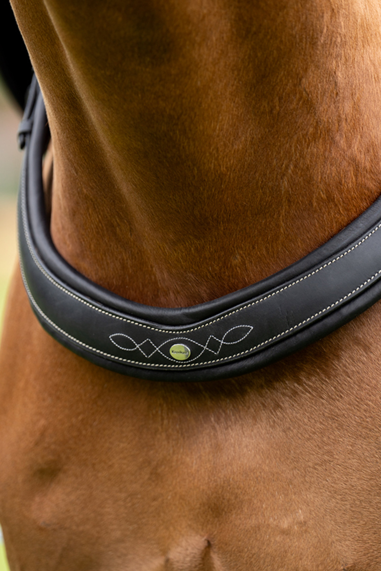 Kavalkade Jerome 2-punktowy Pas Piersiowy