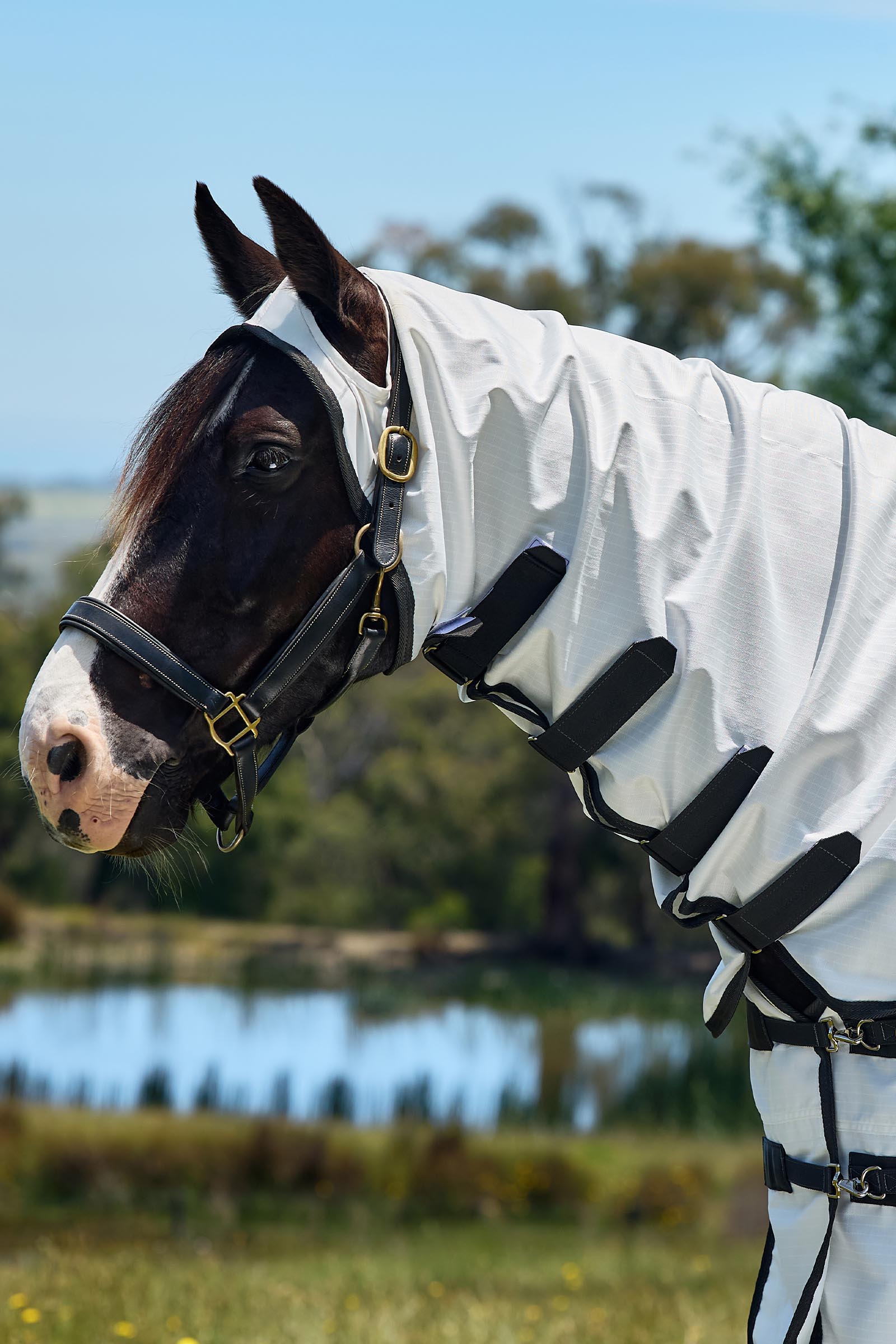 Weatherbeeta ComFiTec Sweet Itch Shield Derka przeciw muchom combo ze stałą szyją, 0 g  