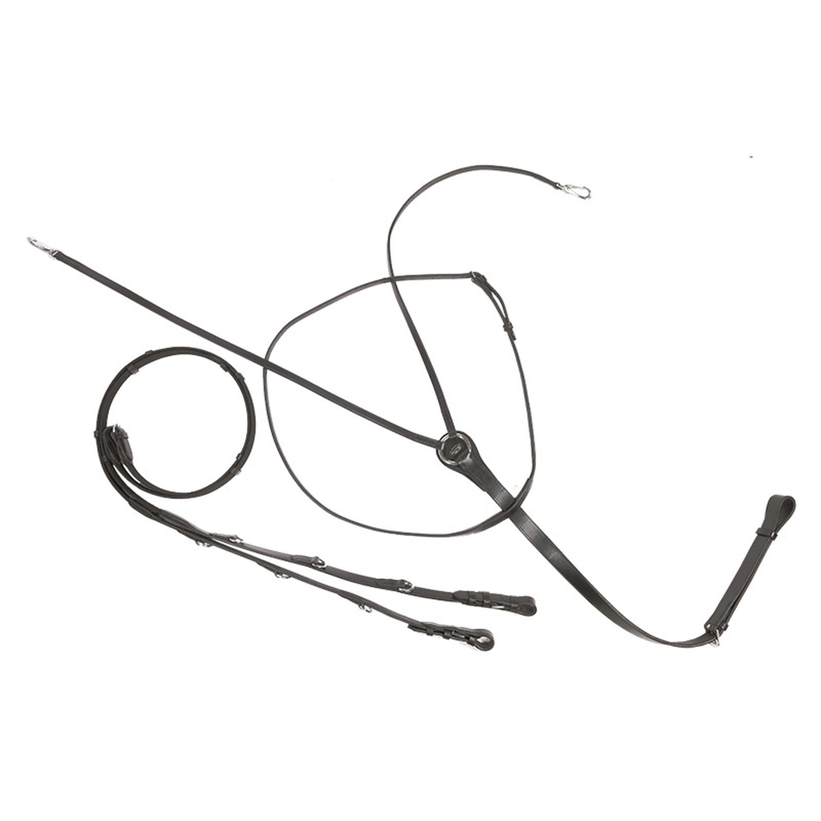 Kavalkade Market Harborough martingale