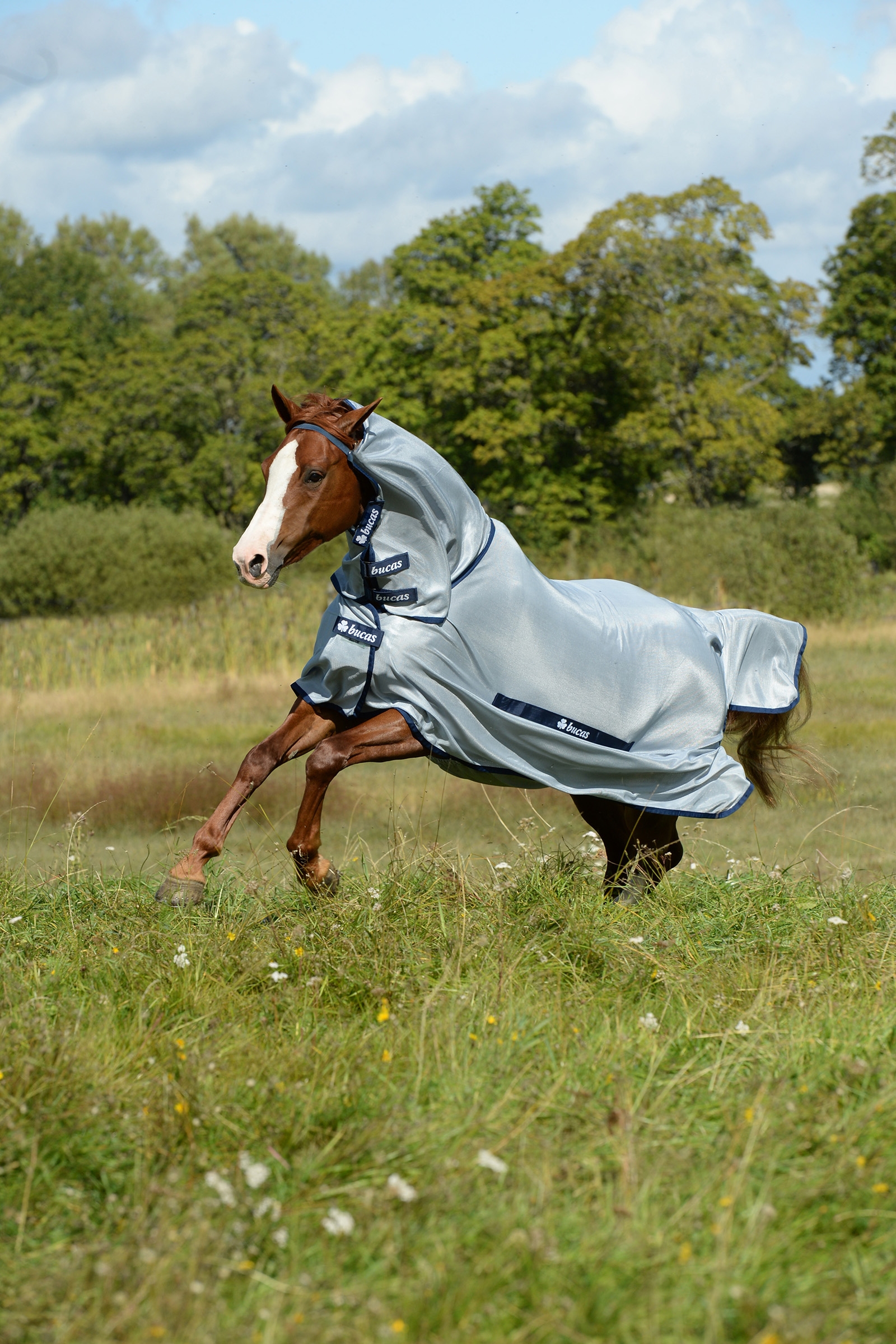 Bucas Buzz-Off Full Neck Fly Rug Pony with fixed Neck